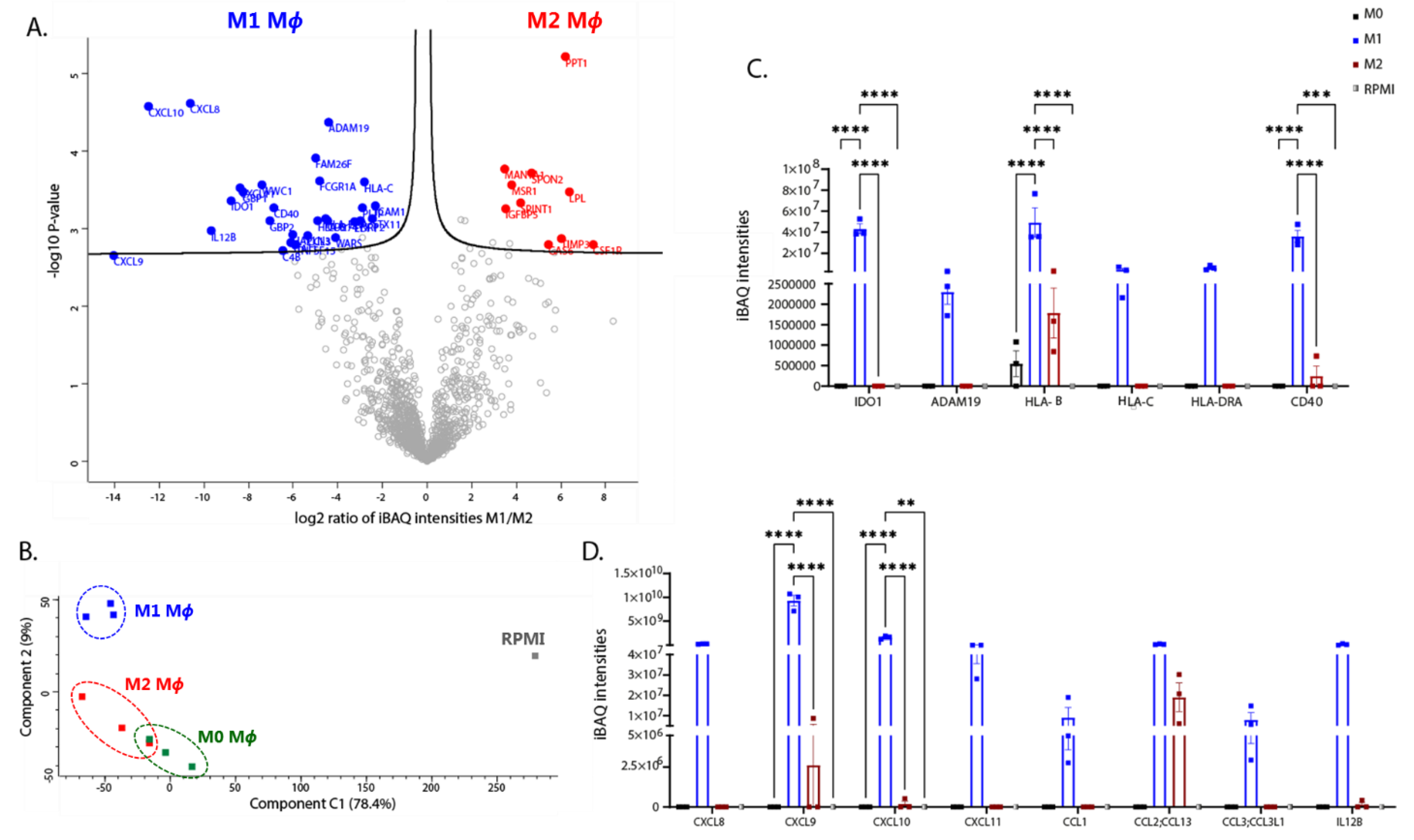 Biomedicines 10 00239 g009