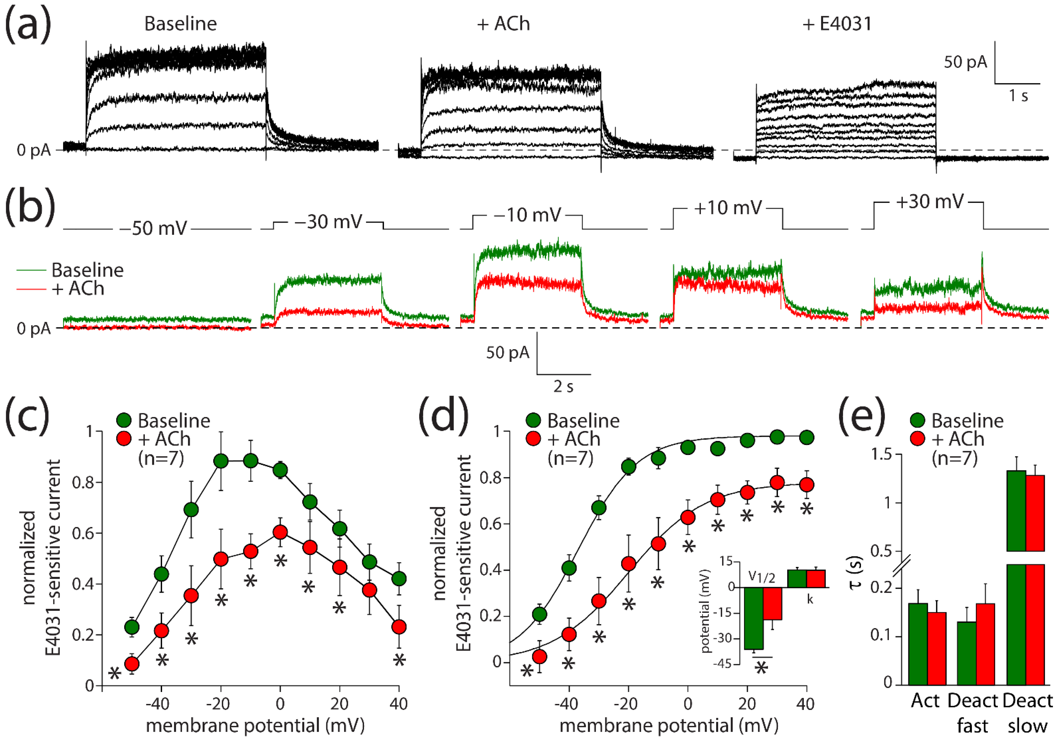 Biomedicines 10 00244 g003