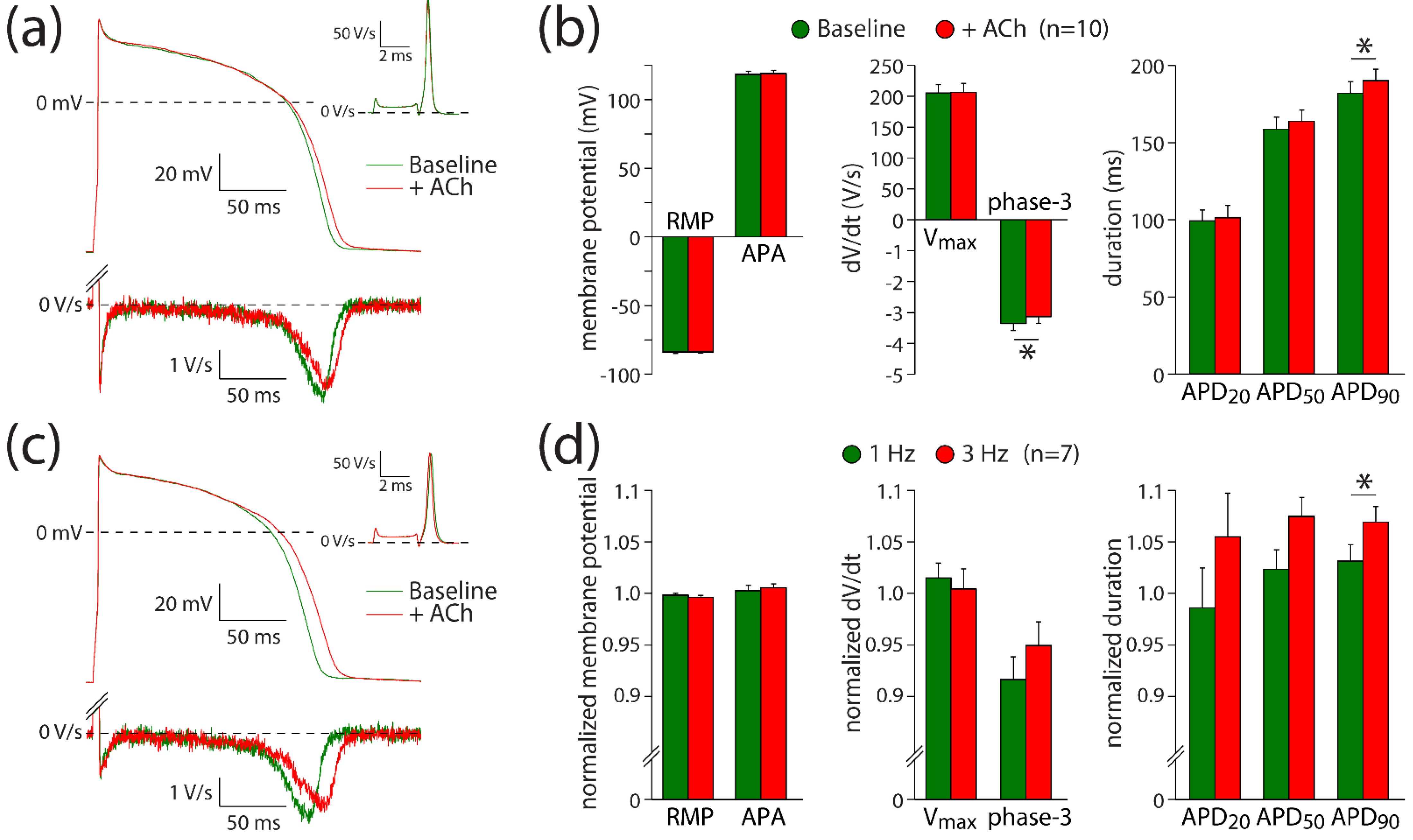 Biomedicines 10 00244 g004