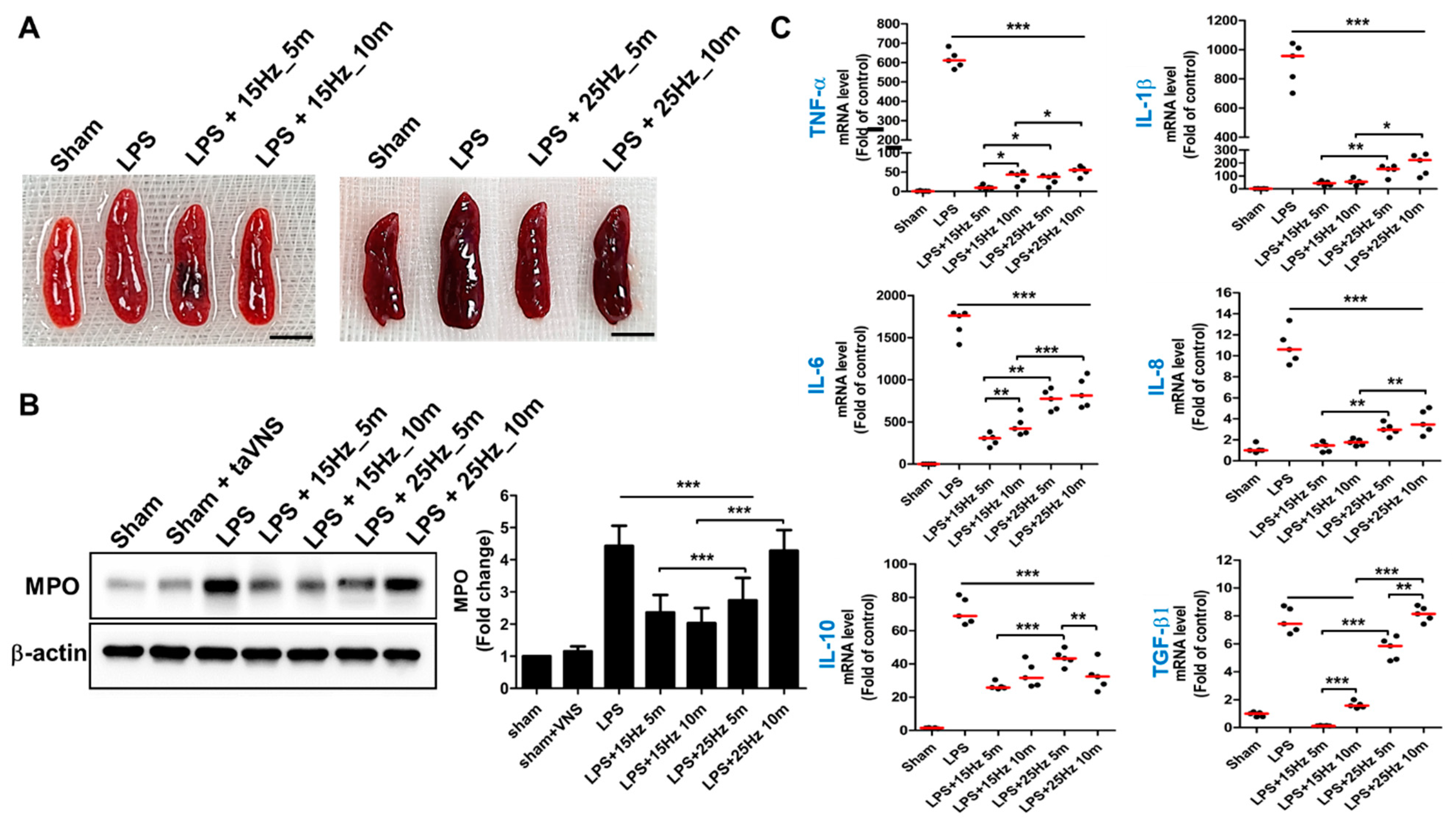 Biomedicines 10 00247 g003 Biomedicines 10 00247 g003