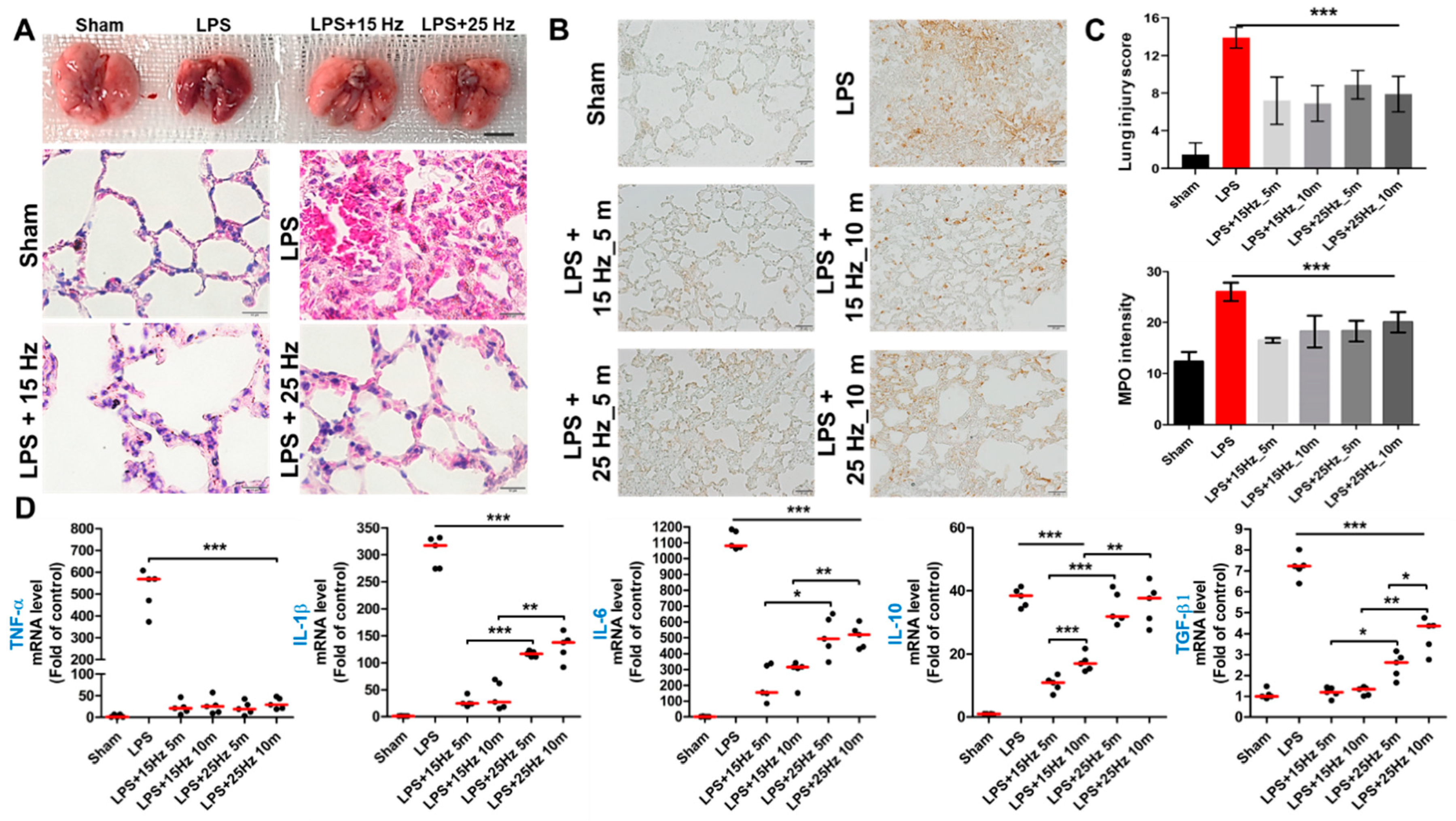 Biomedicines 10 00247 g004 Biomedicines 10 00247 g004