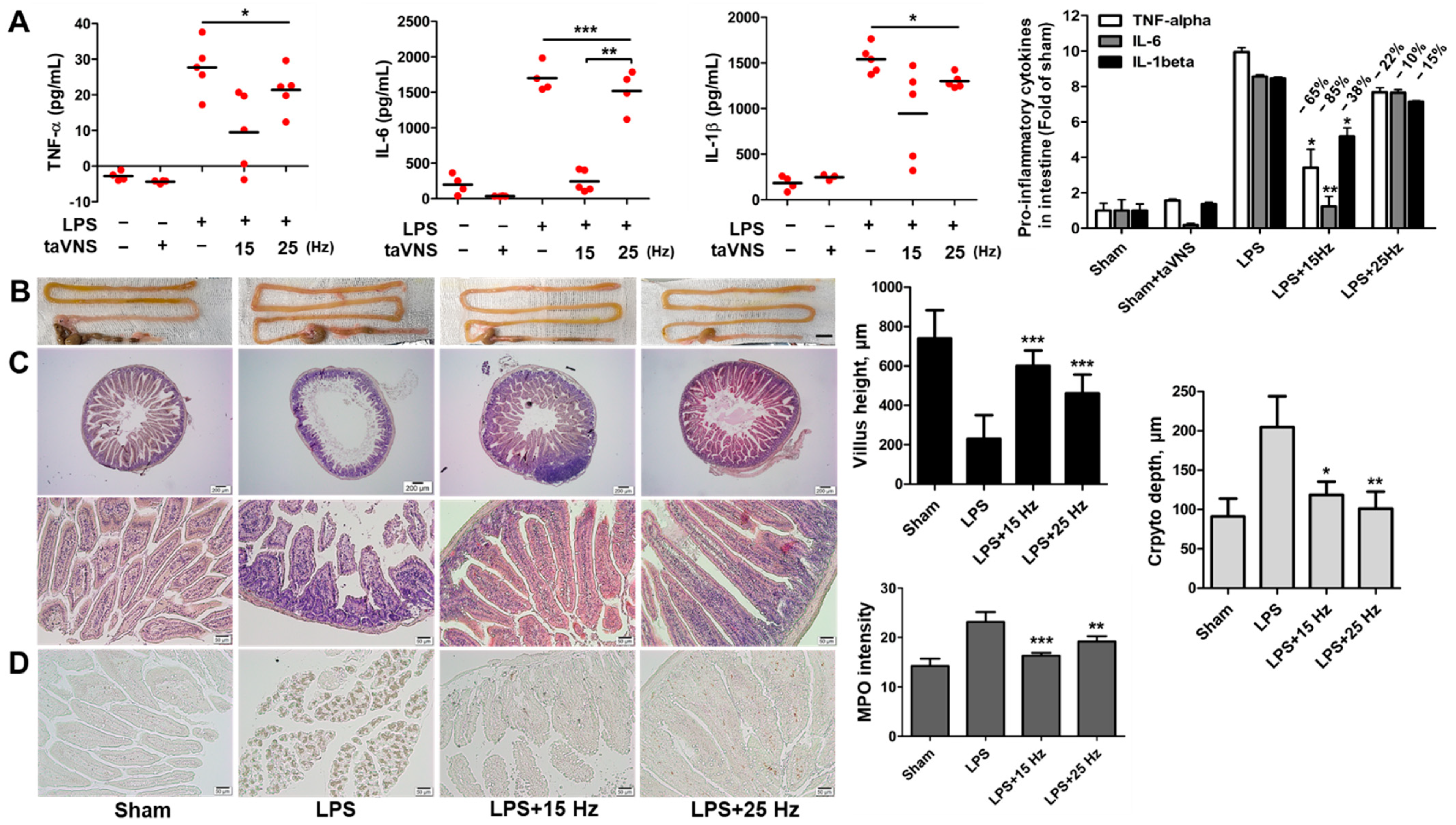 Biomedicines 10 00247 g005 Biomedicines 10 00247 g005