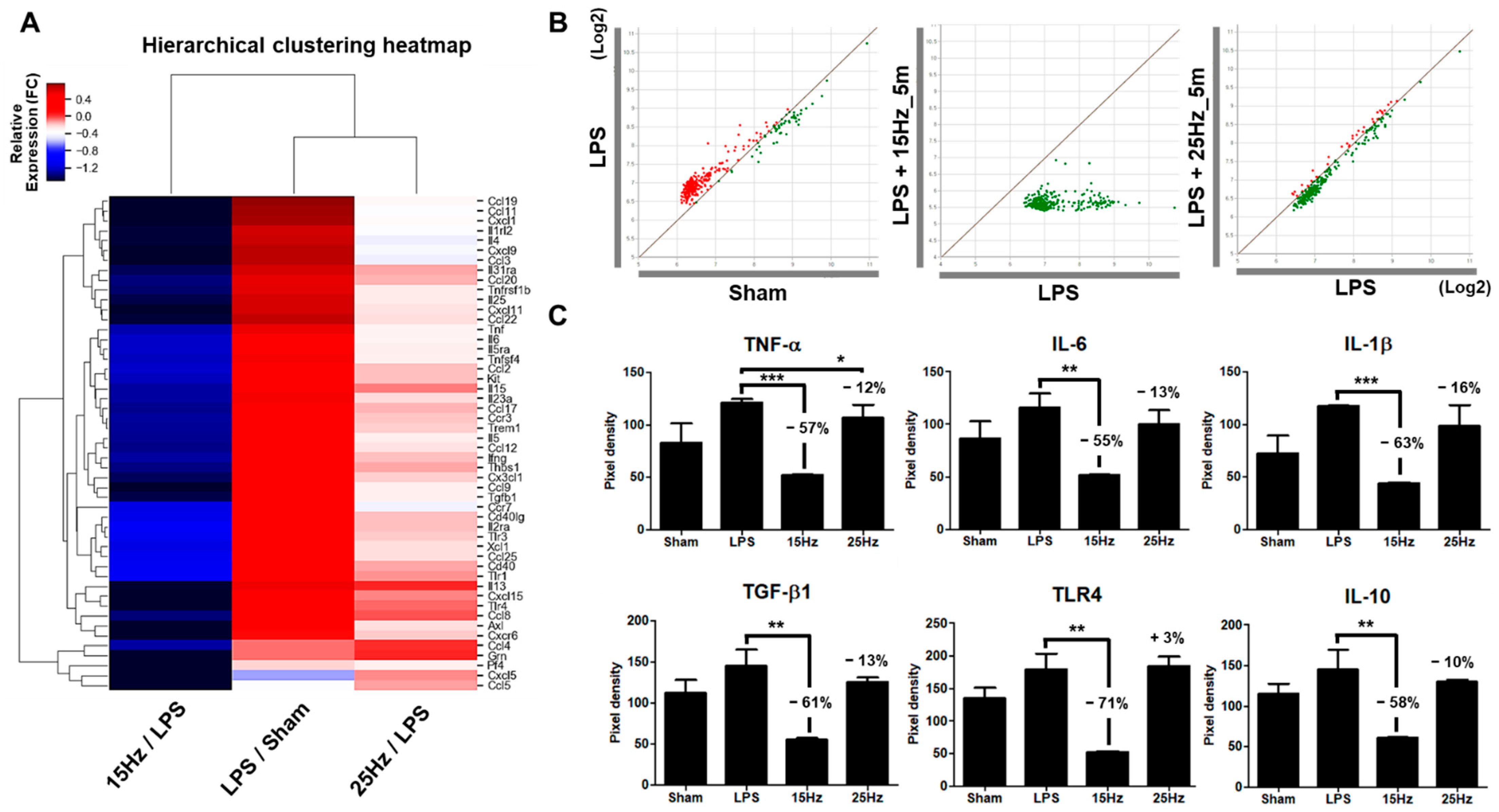 Biomedicines 10 00247 g006 Biomedicines 10 00247 g006