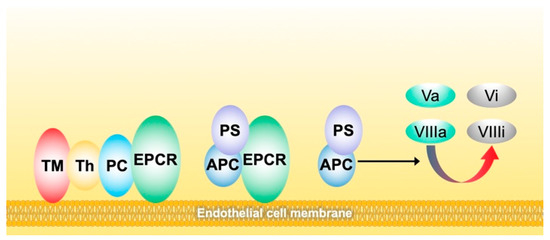Biomedicines 10 00249 g003 550