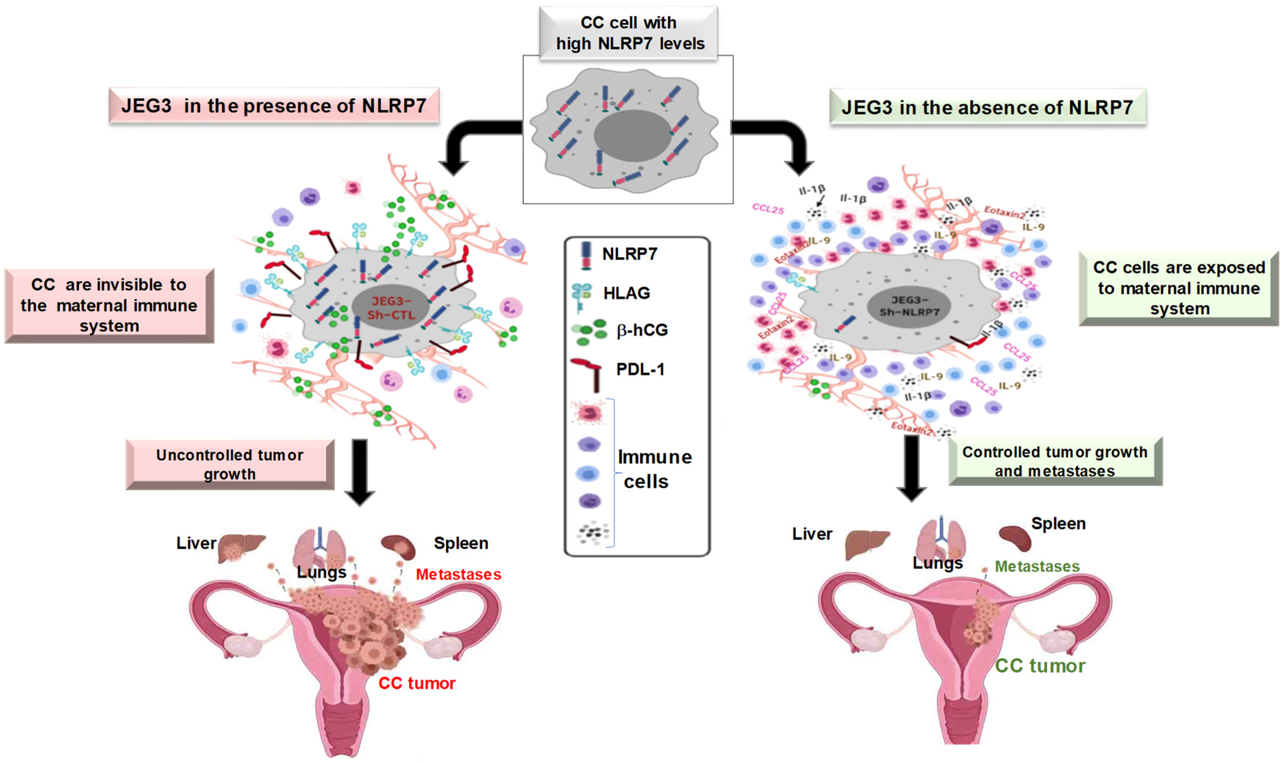 Biomedicines 10 00252 g002