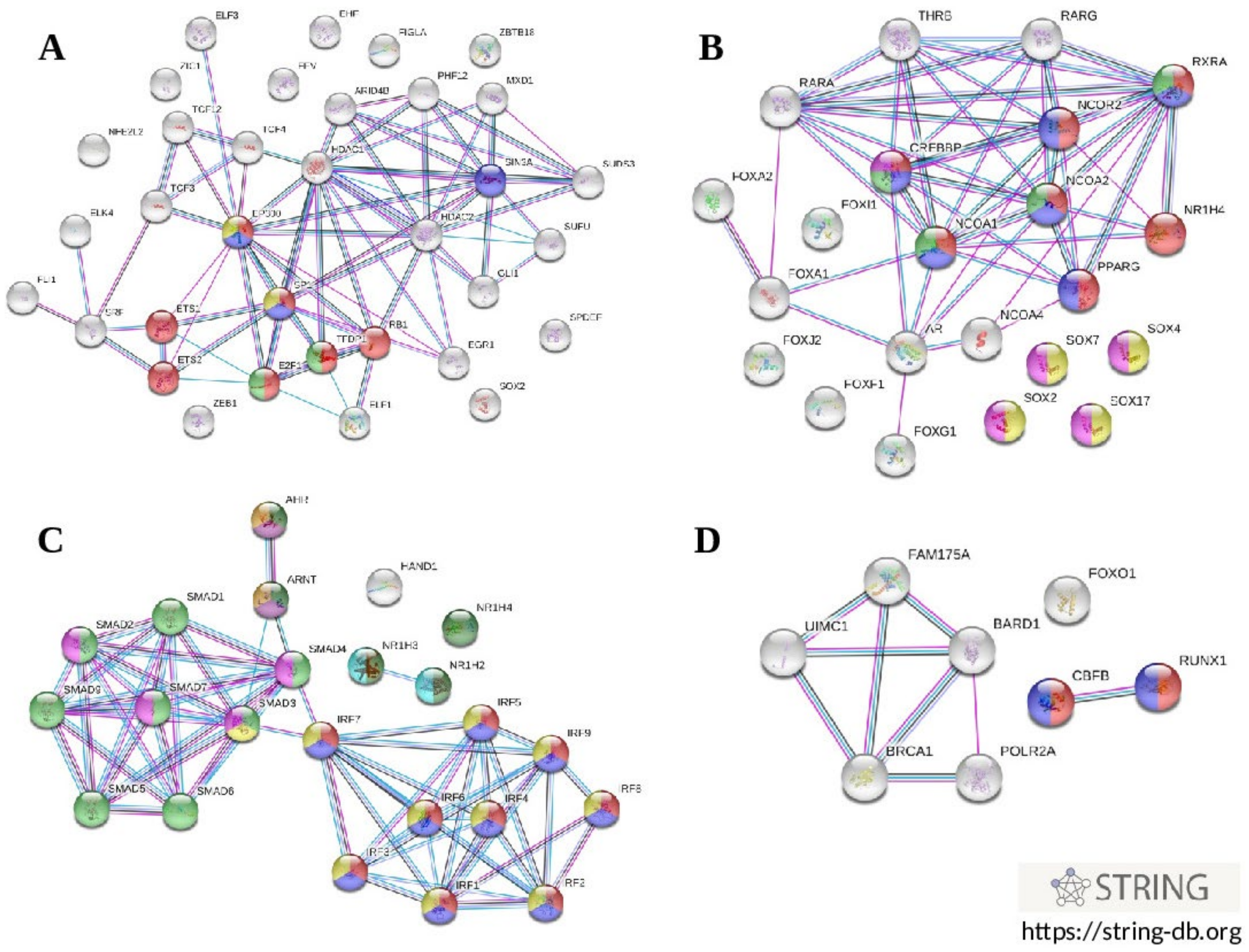 Biomedicines 10 00259 g004