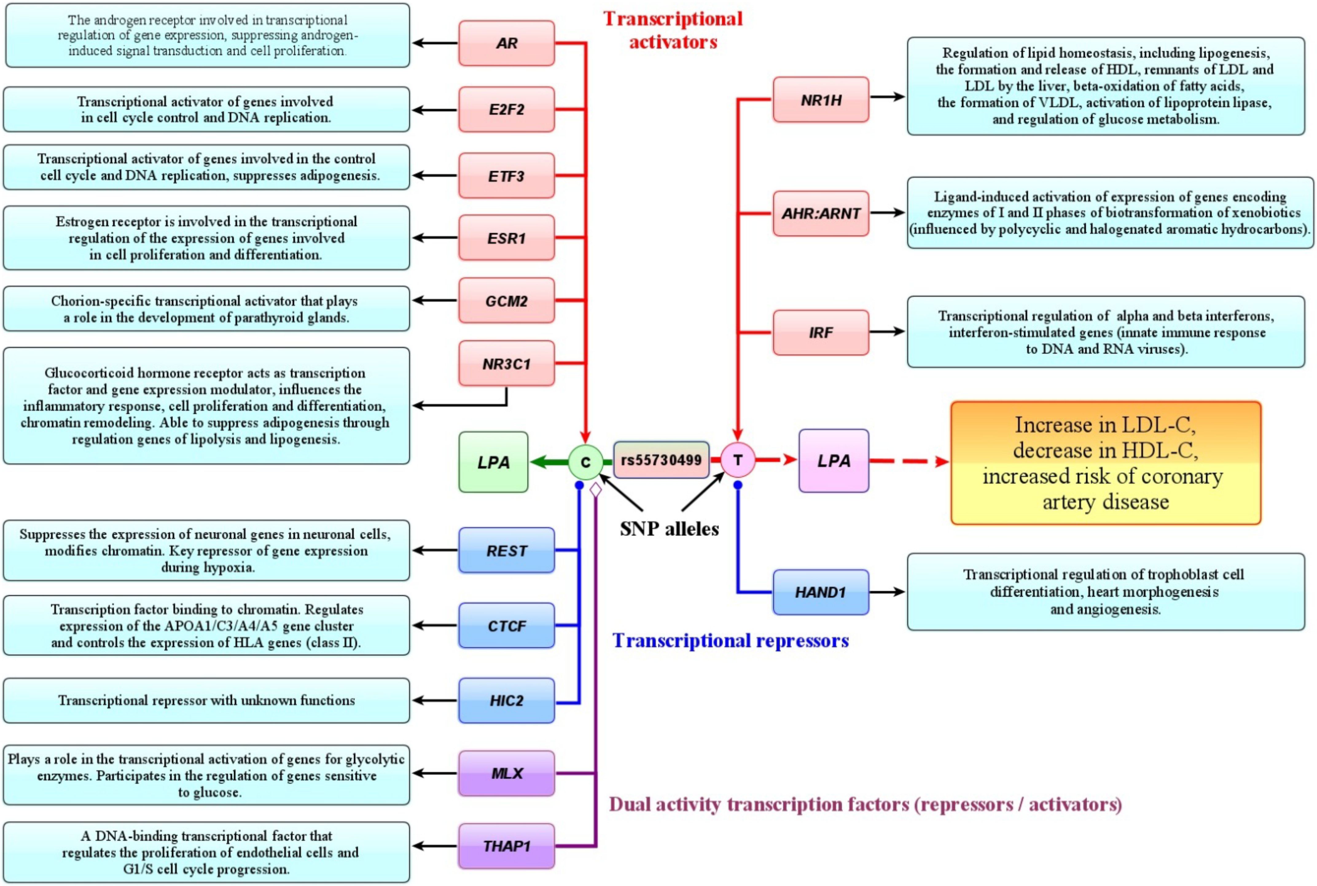 Biomedicines 10 00259 g005