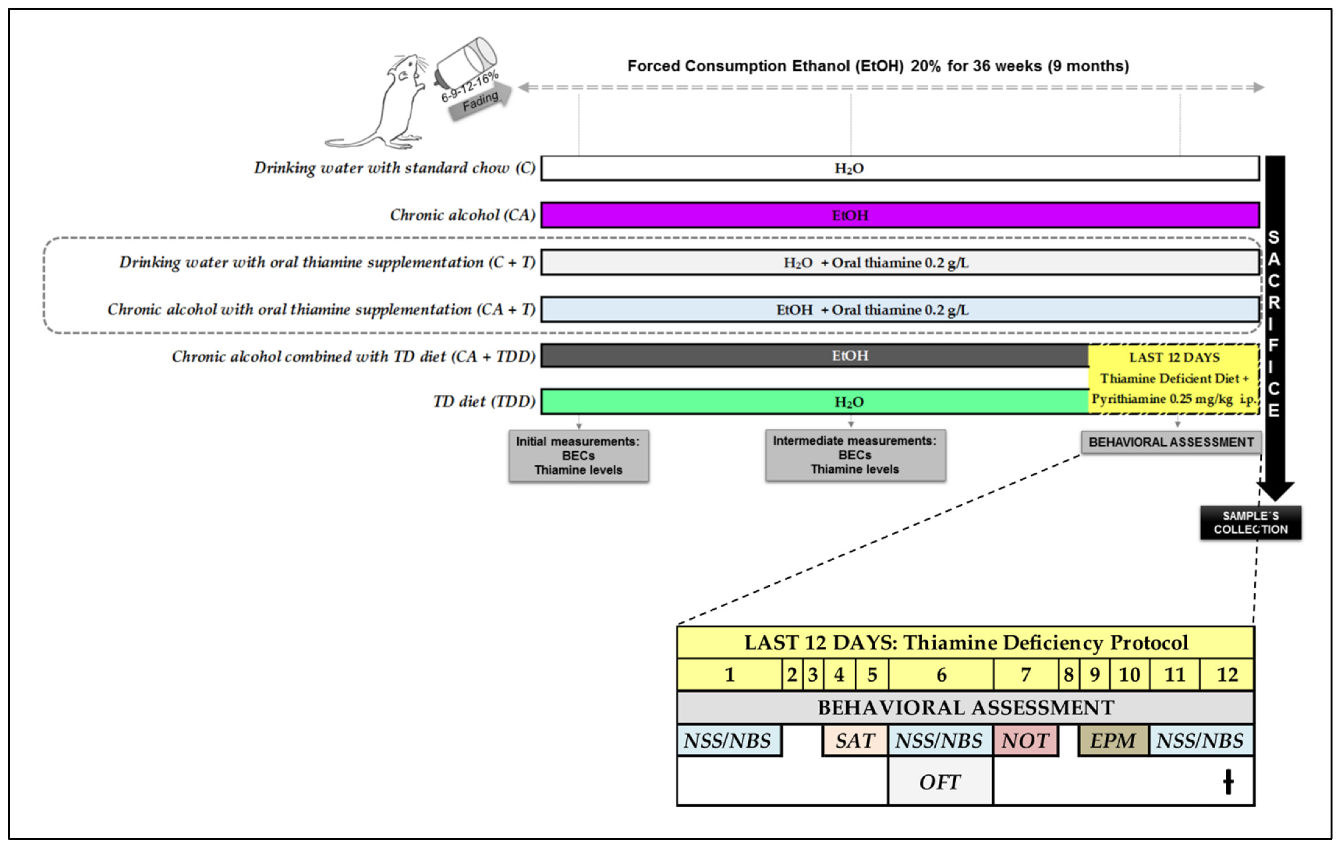 Biomedicines 10 00260 g001 Biomedicines 10 00260 g001
