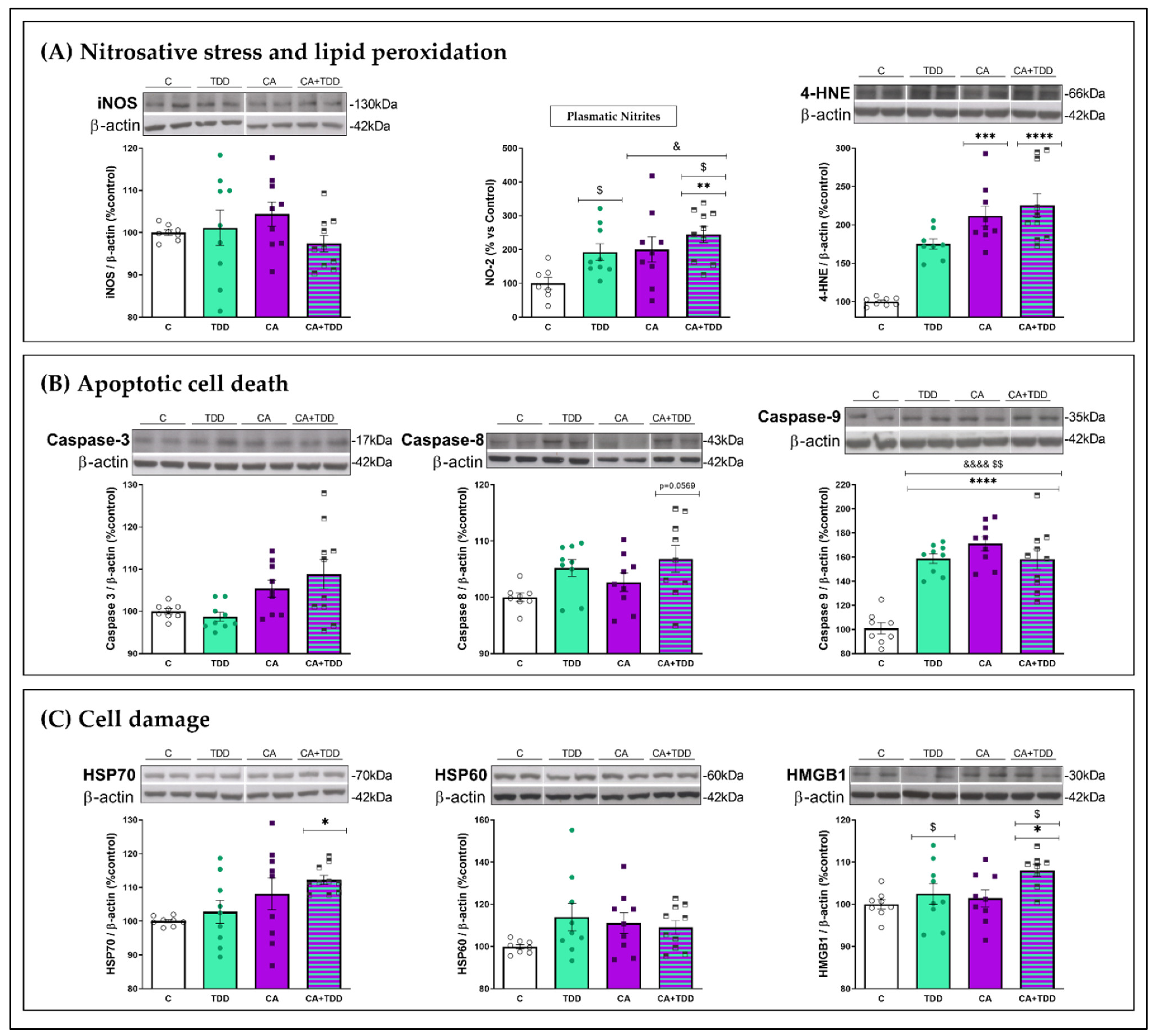 Biomedicines 10 00260 g004 Biomedicines 10 00260 g004