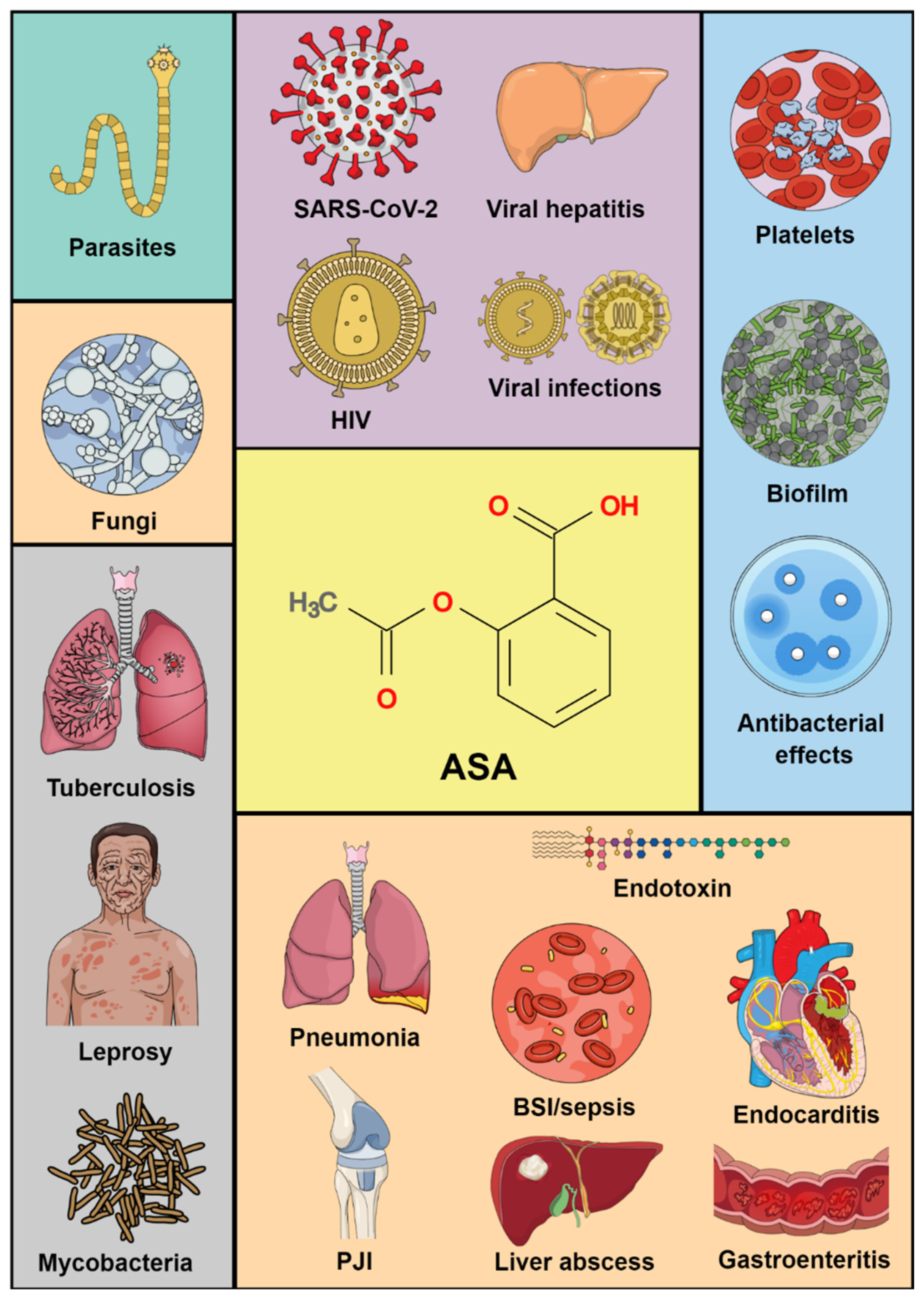 Biomedicines 10 00263 g001 Biomedicines 10 00263 g001