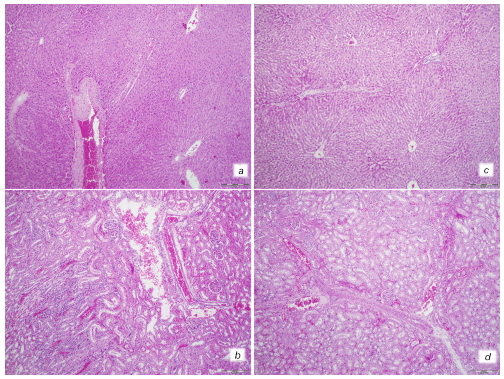 Biomedicines 10 00265 g005