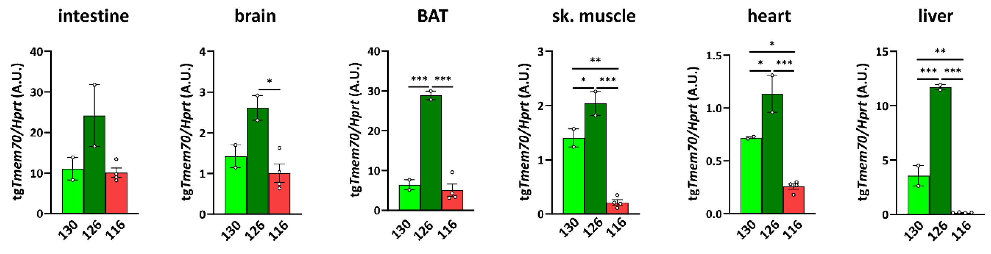Biomedicines 10 00276 g002