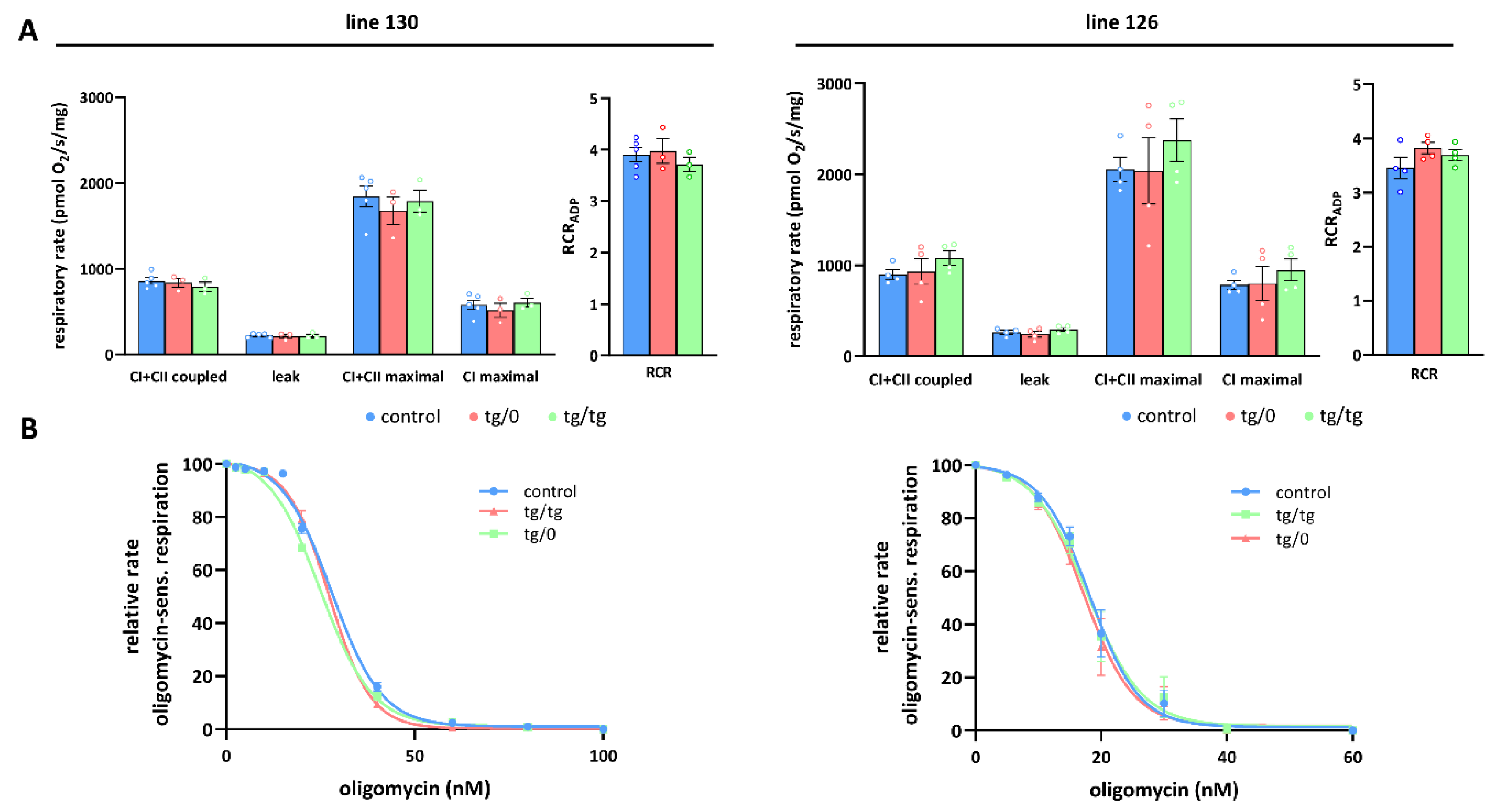 Biomedicines 10 00276 g006