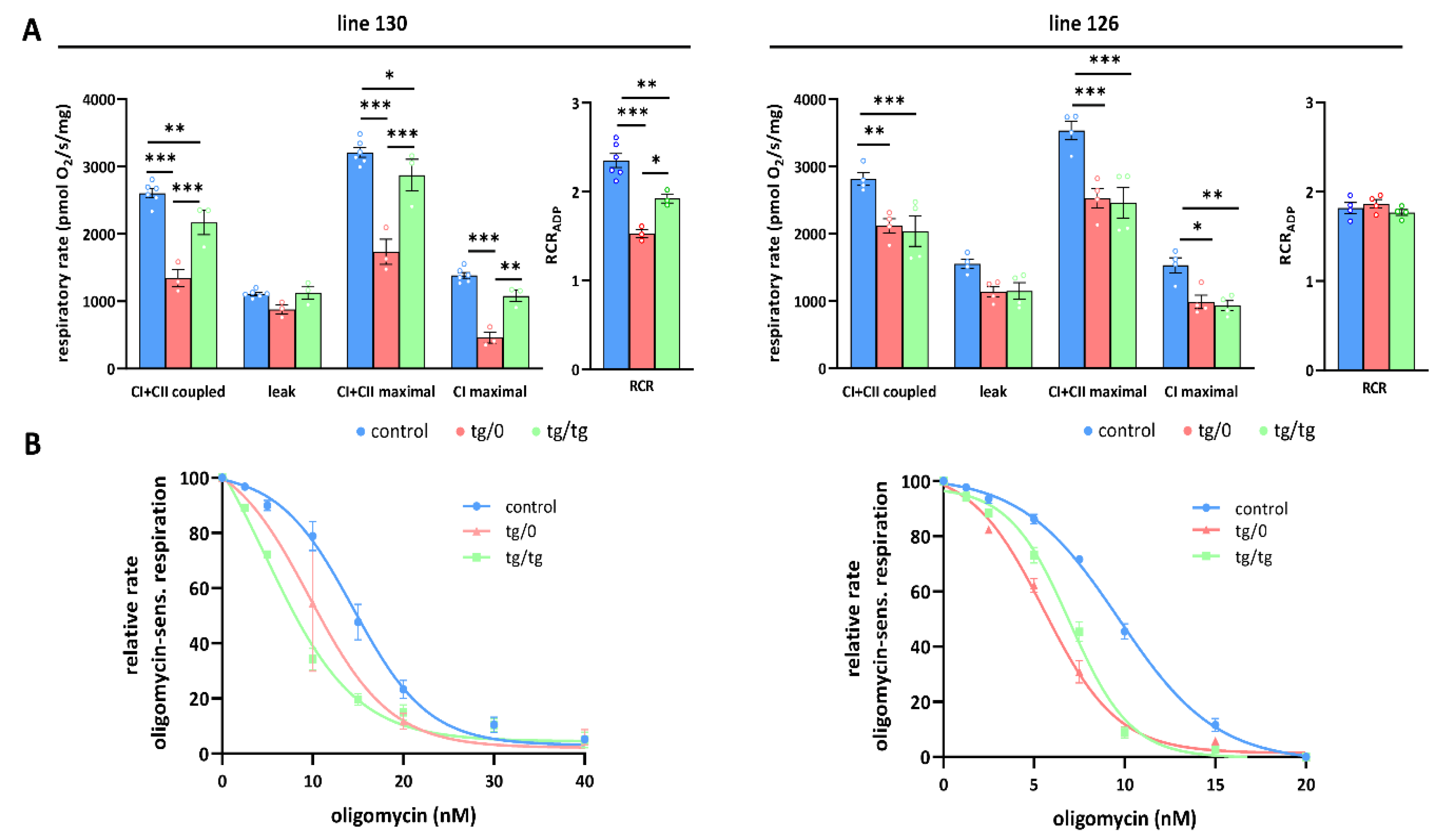 Biomedicines 10 00276 g007
