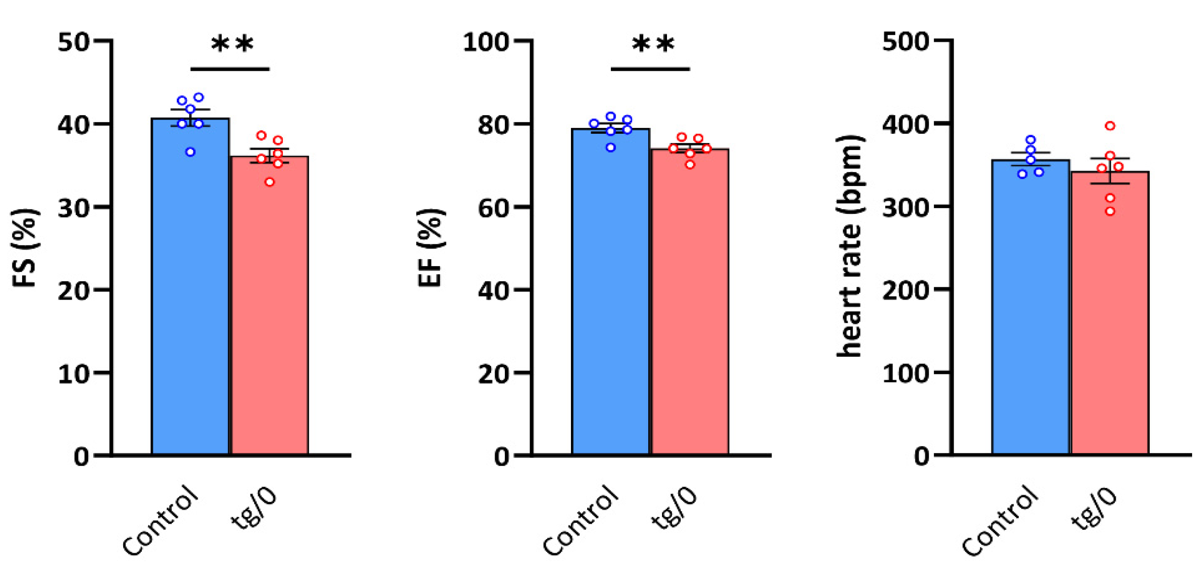 Biomedicines 10 00276 g008
