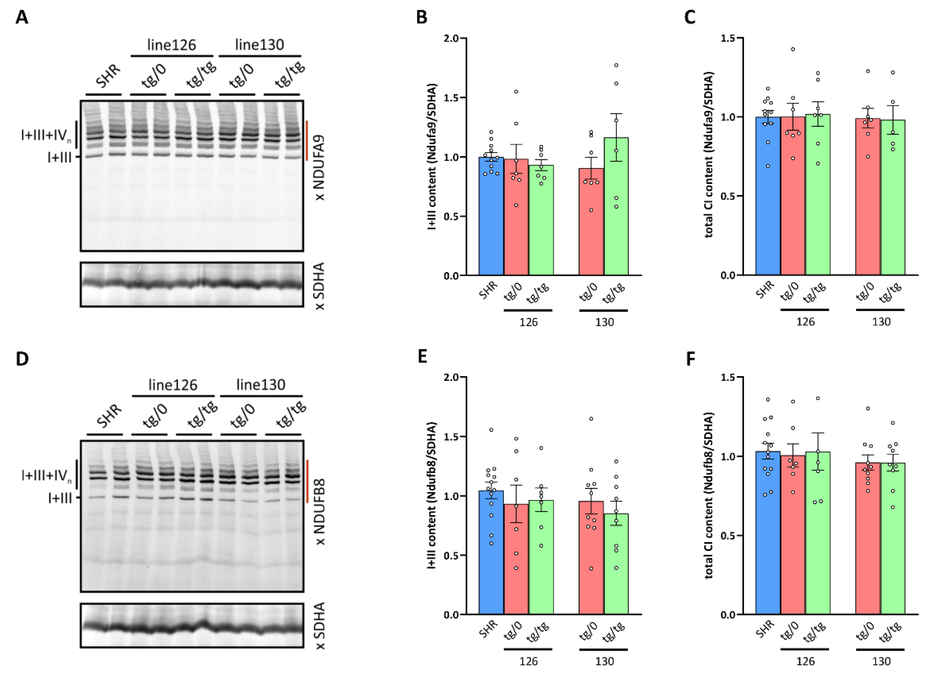 Biomedicines 10 00276 g010