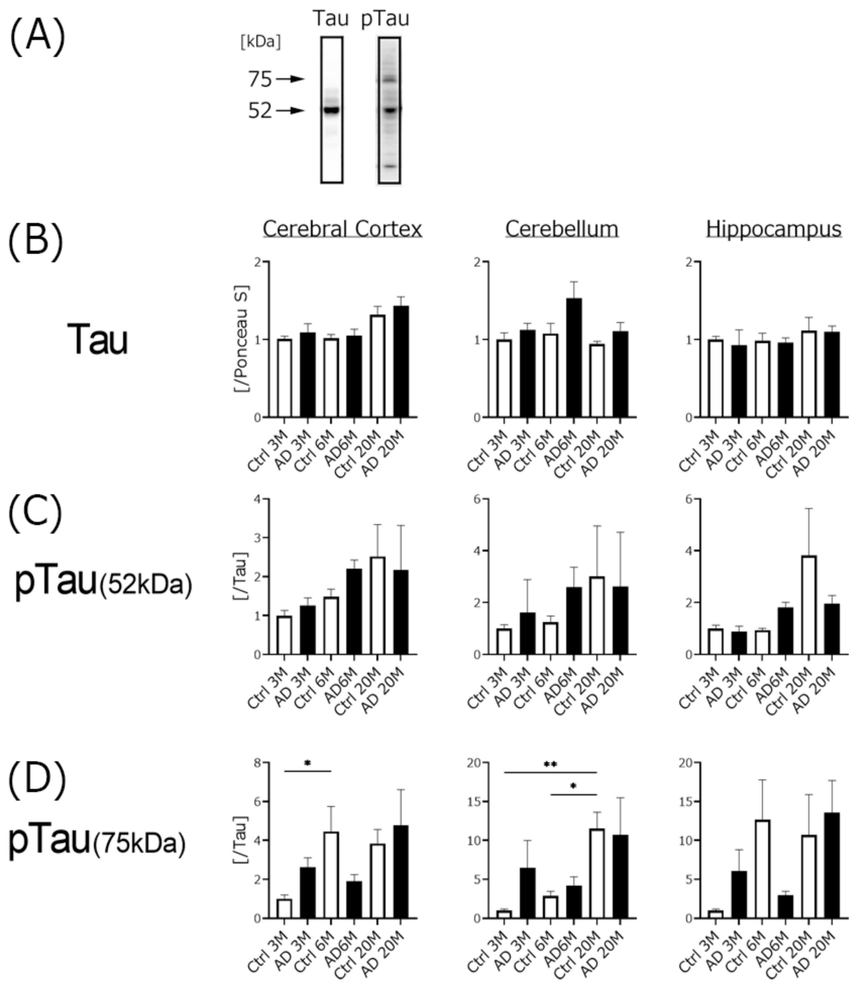 Biomedicines 10 00281 g004