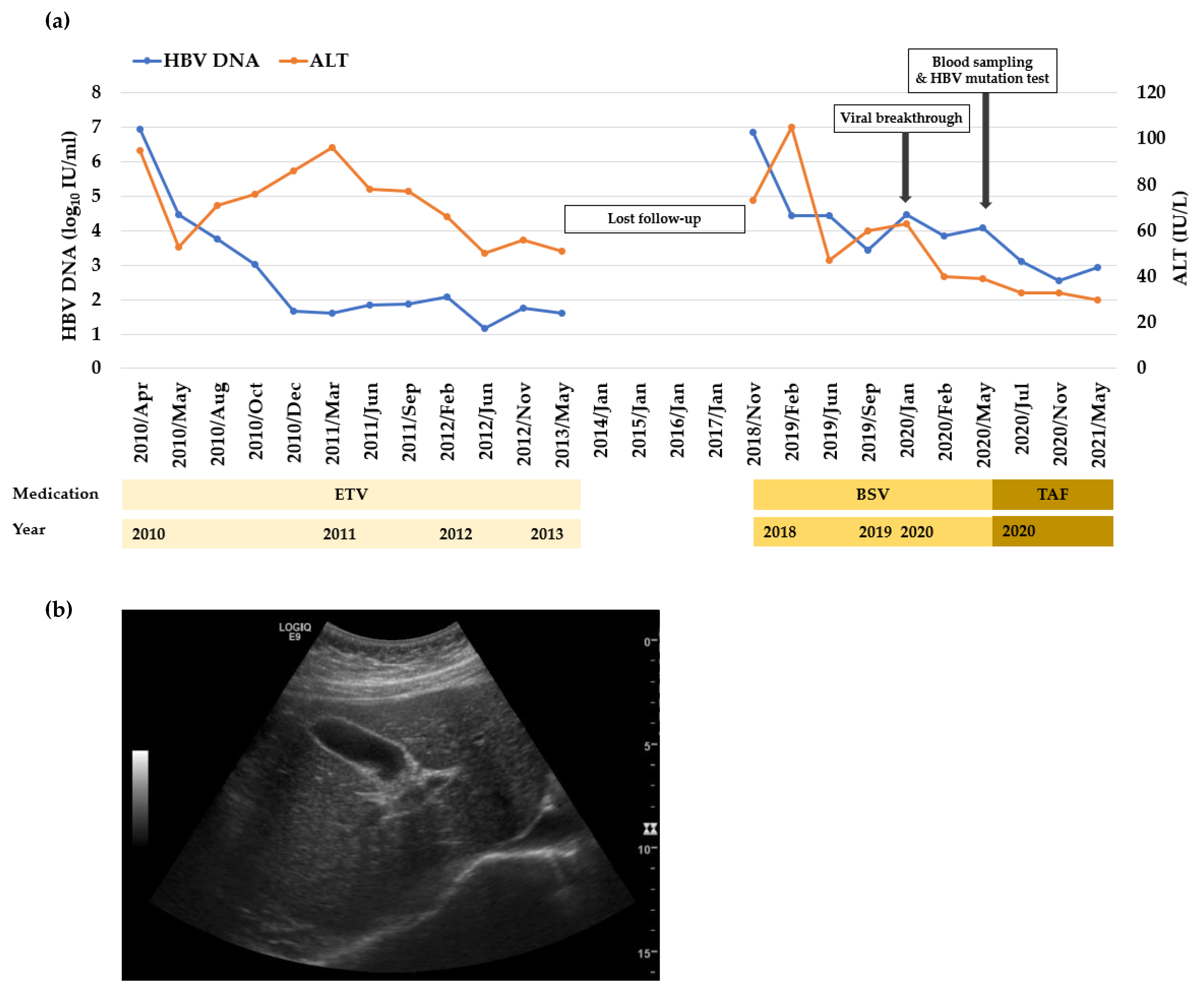 Biomedicines 10 00282 g001