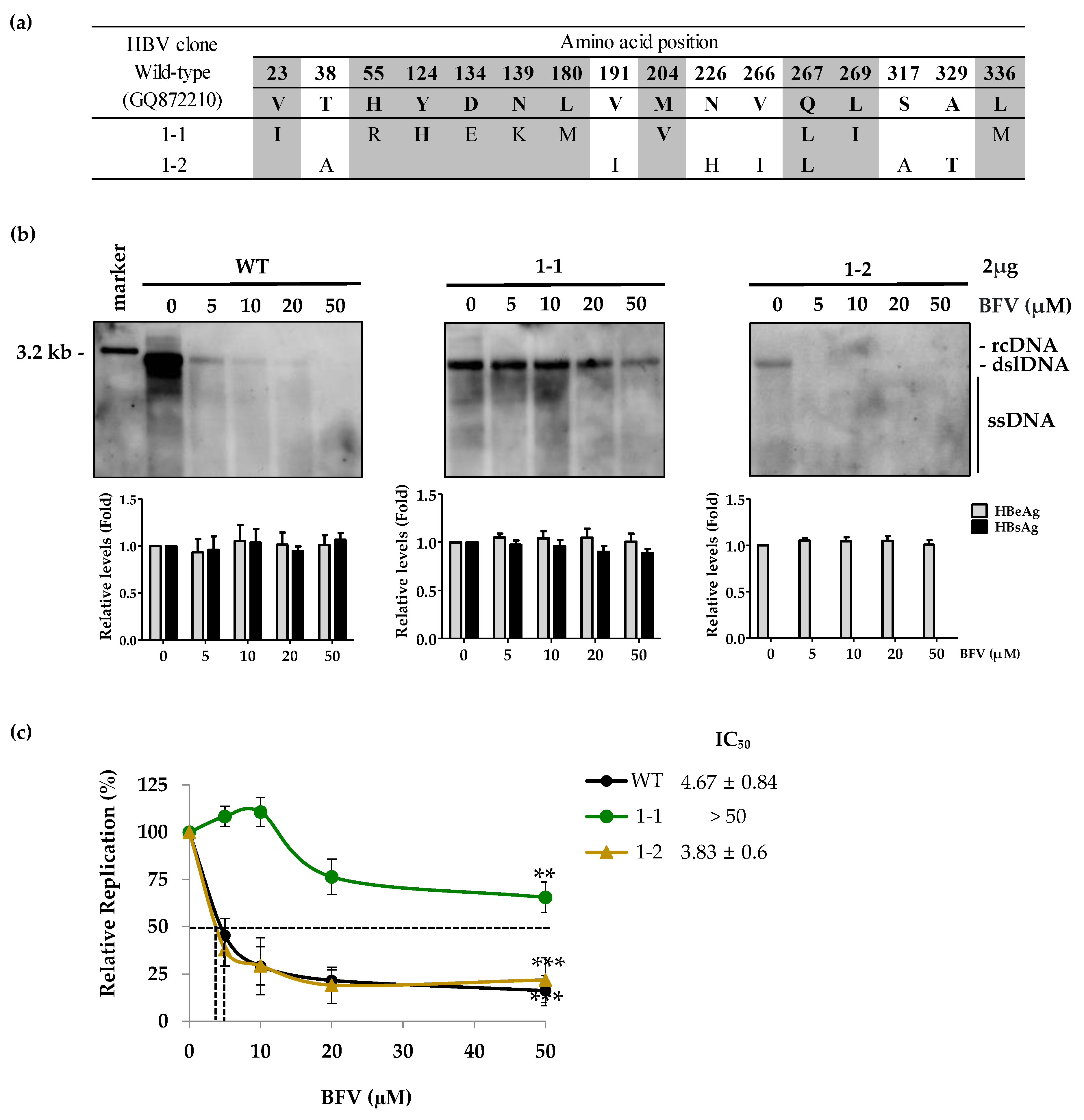 Biomedicines 10 00282 g002