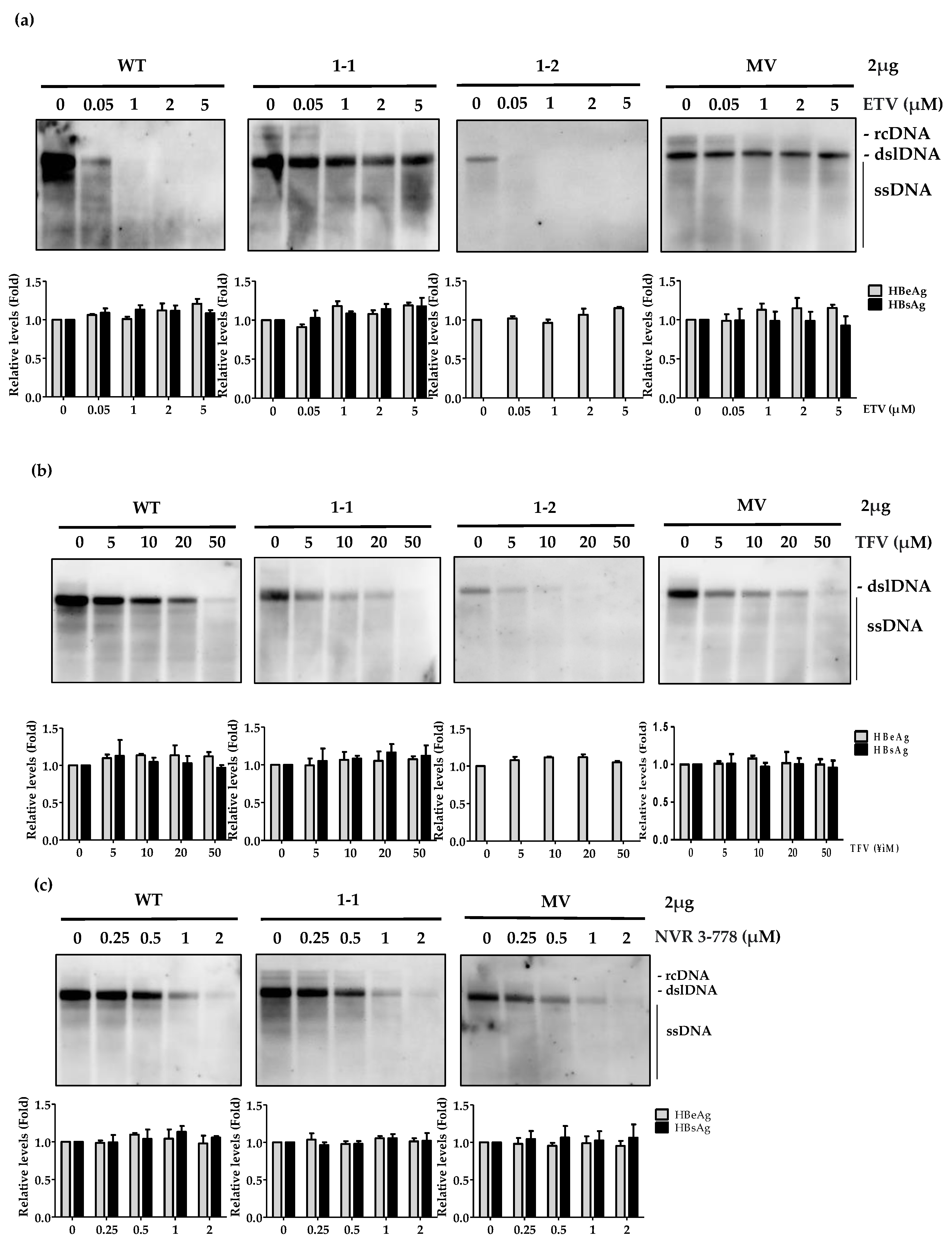 Biomedicines 10 00282 g004