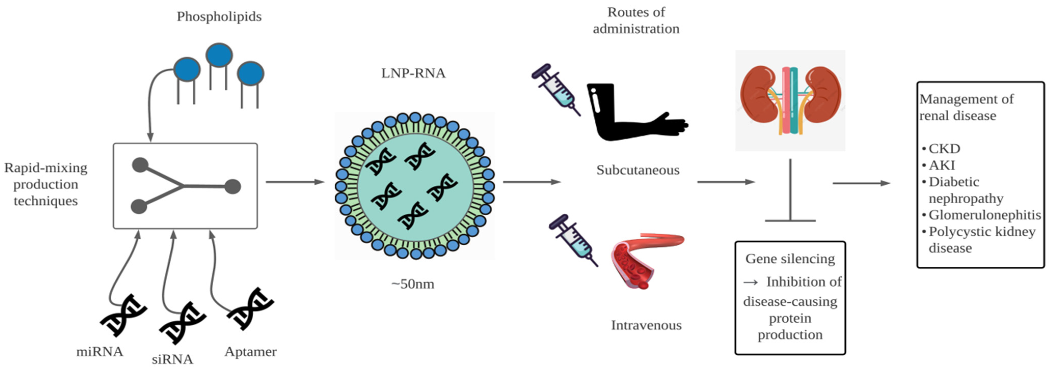 Biomedicines 10 00283 g001