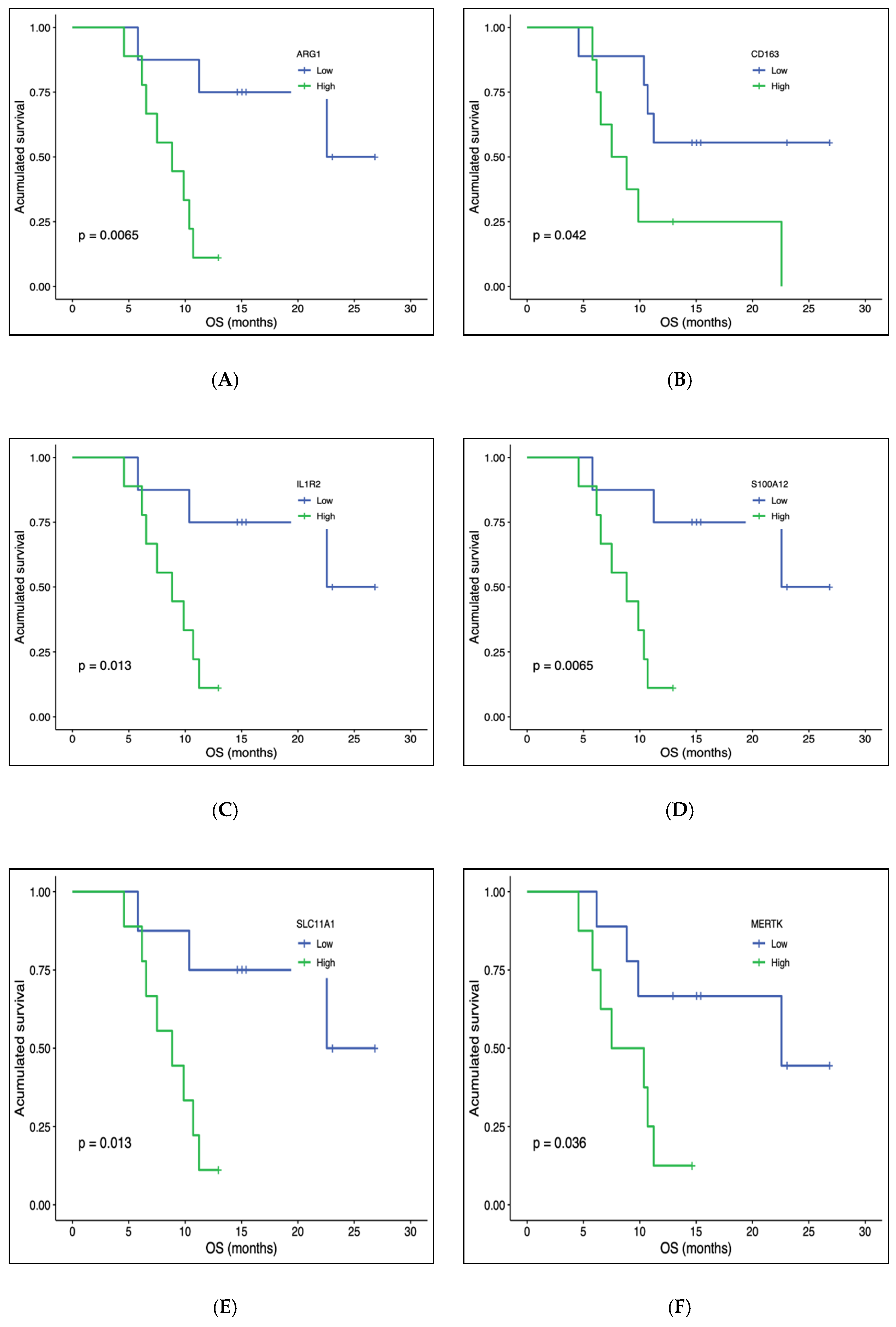 Biomedicines 10 00284 g003
