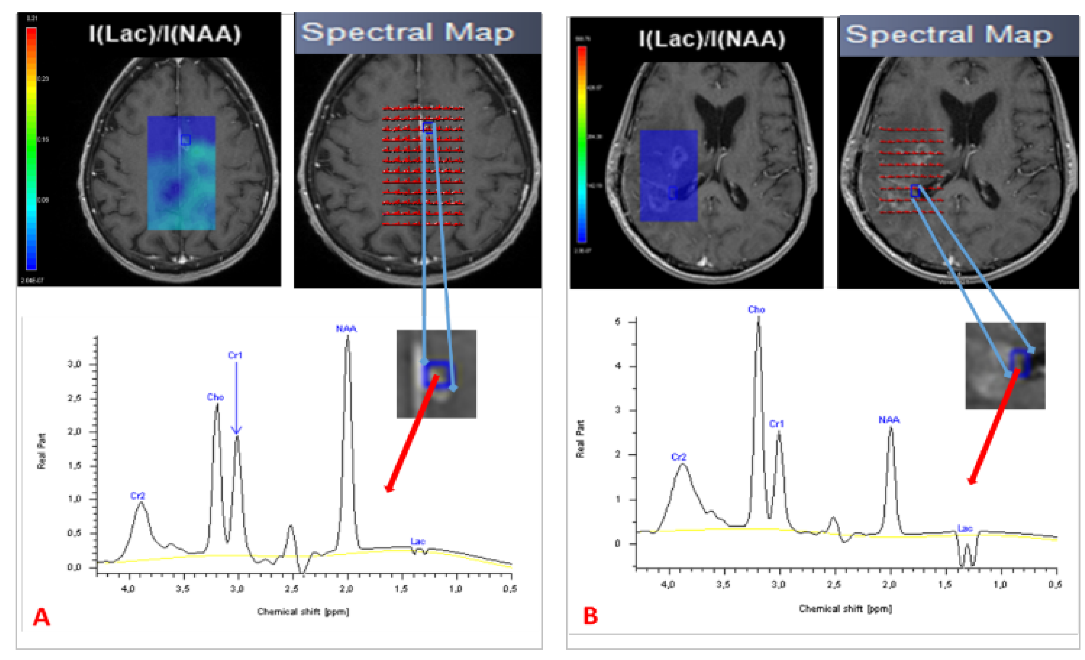 Biomedicines 10 00285 g003