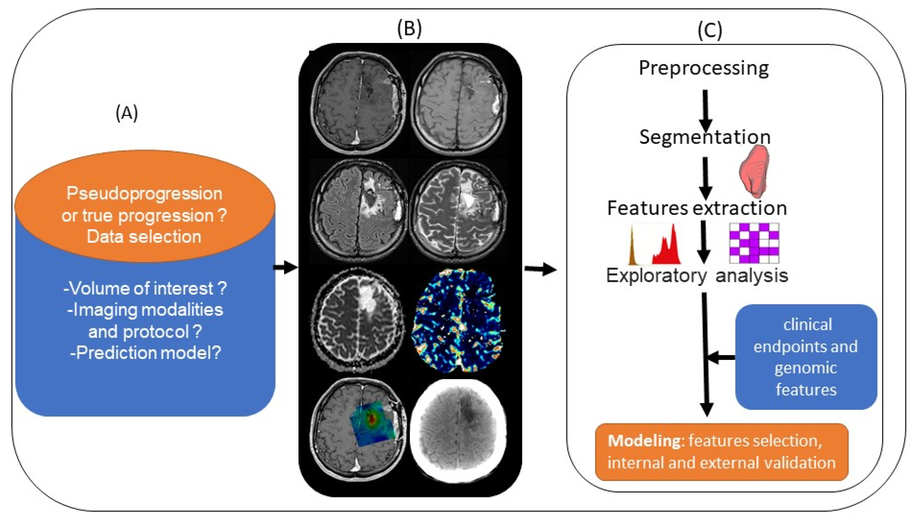 Biomedicines 10 00285 g004