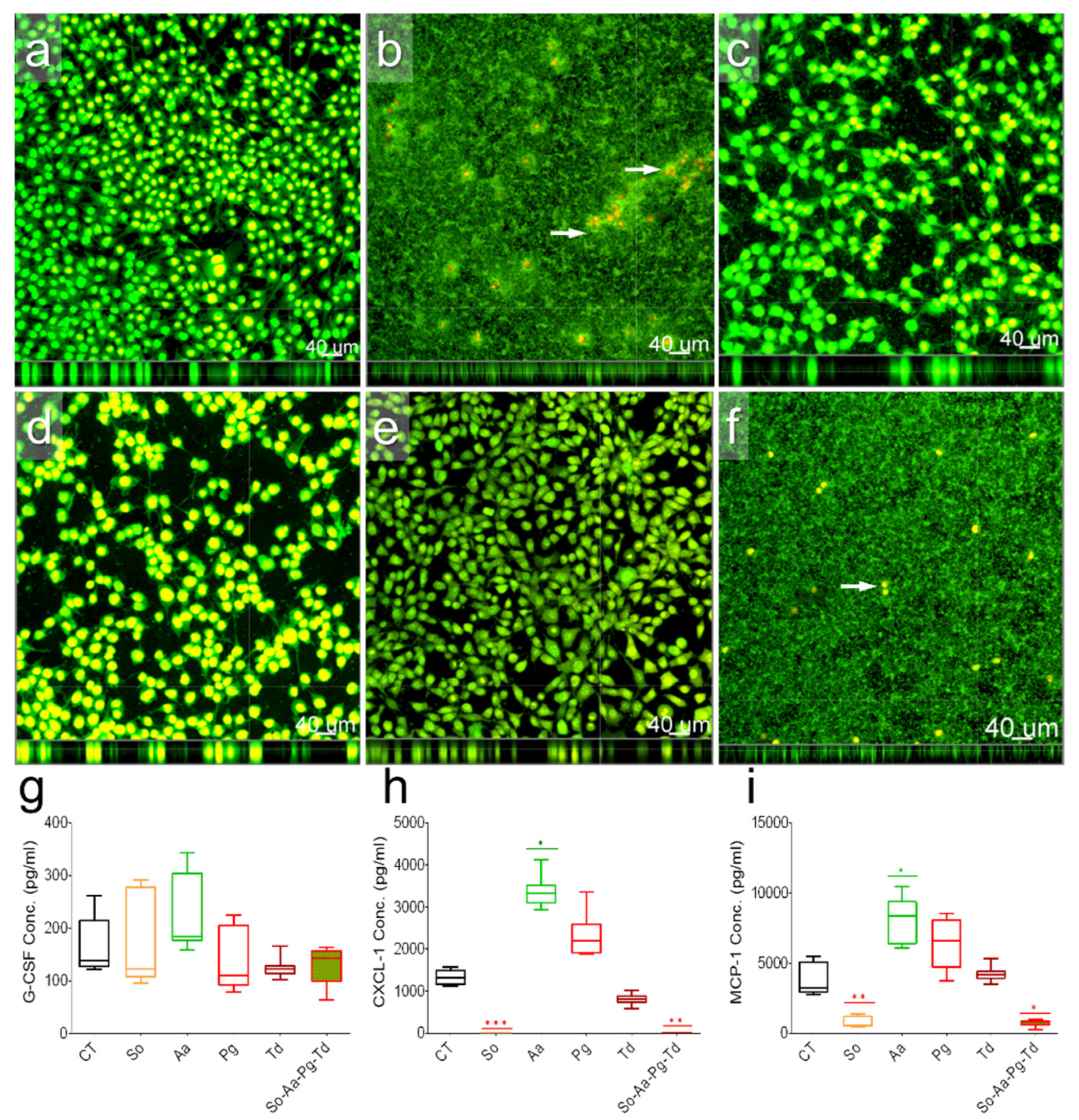 Biomedicines 10 00286 g002