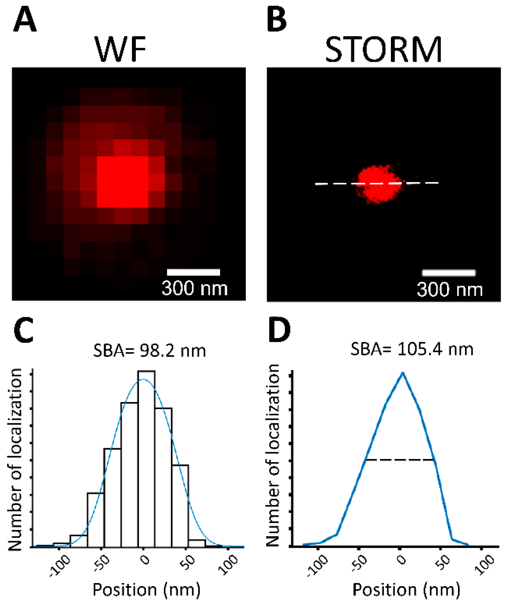 Biomedicines 10 00295 g002