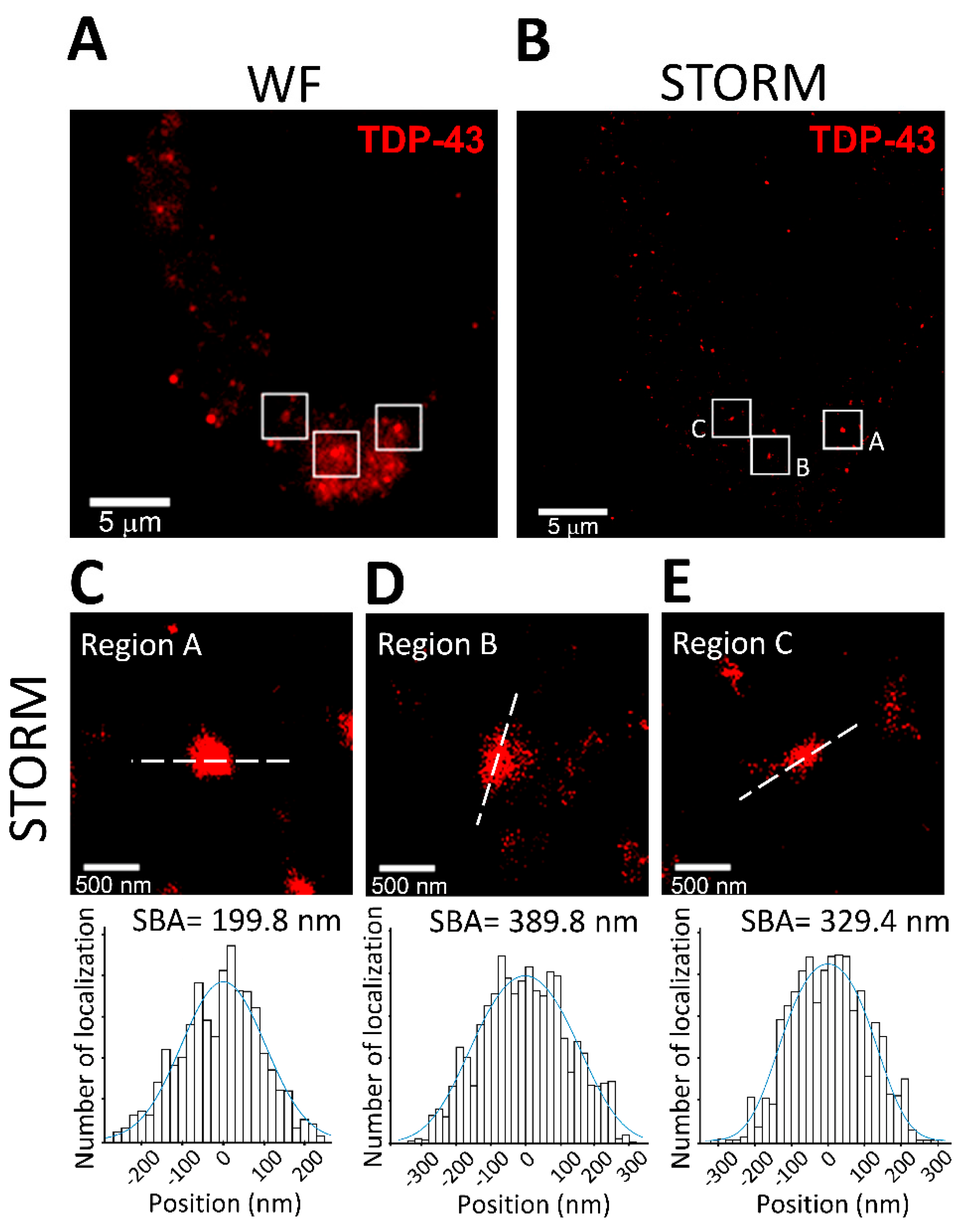 Biomedicines 10 00295 g003