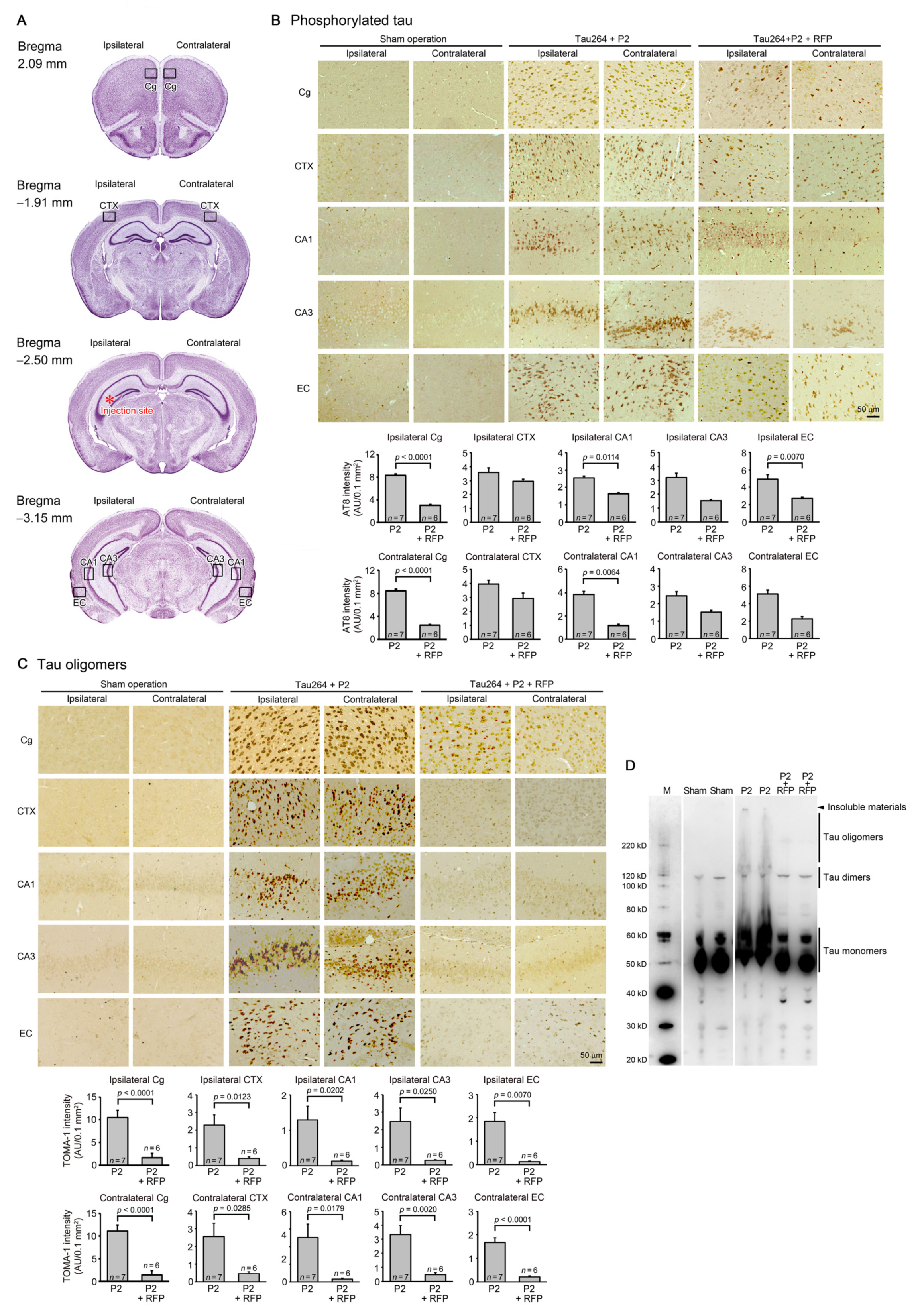 Biomedicines 10 00297 g002