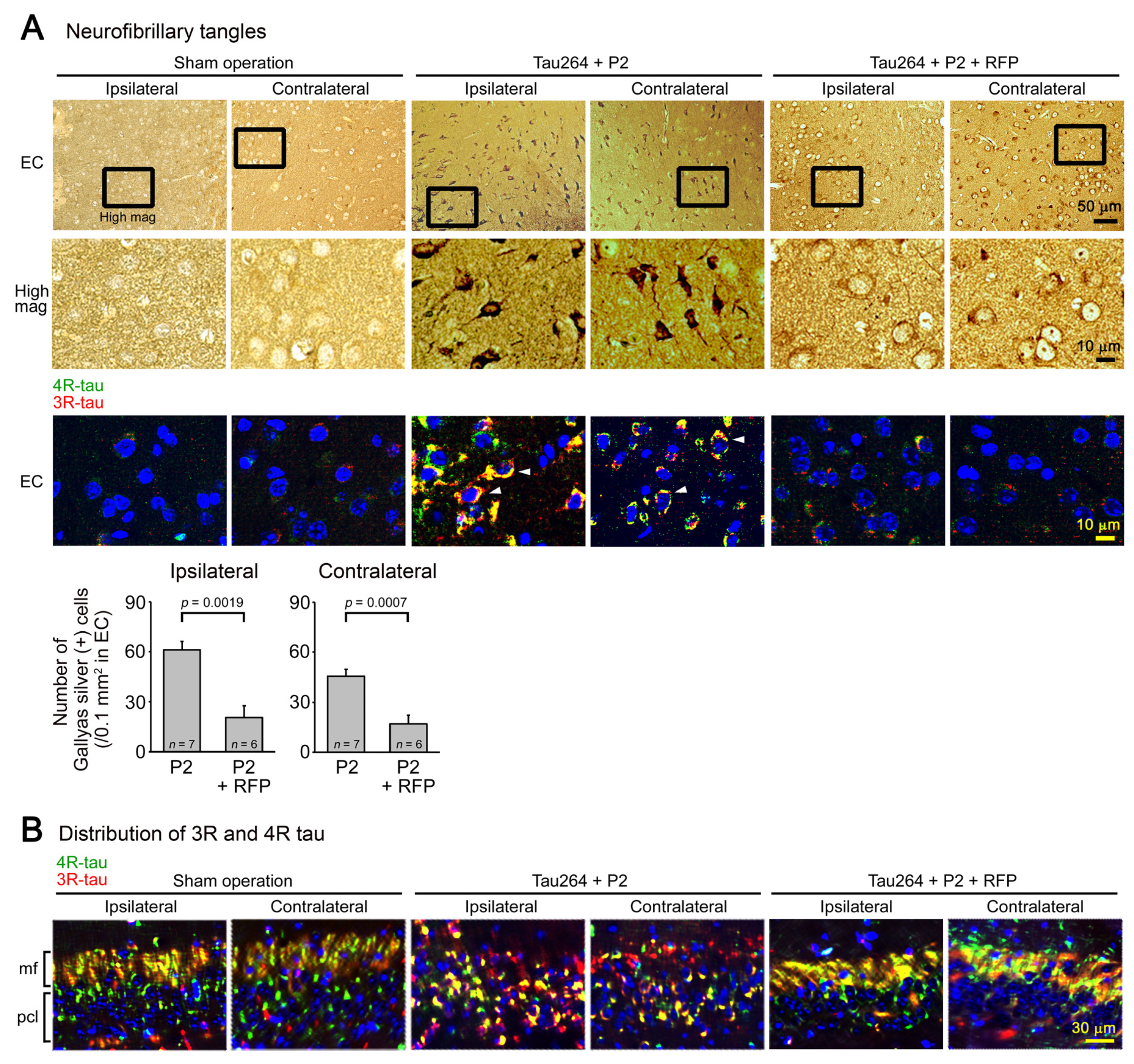 Biomedicines 10 00297 g003