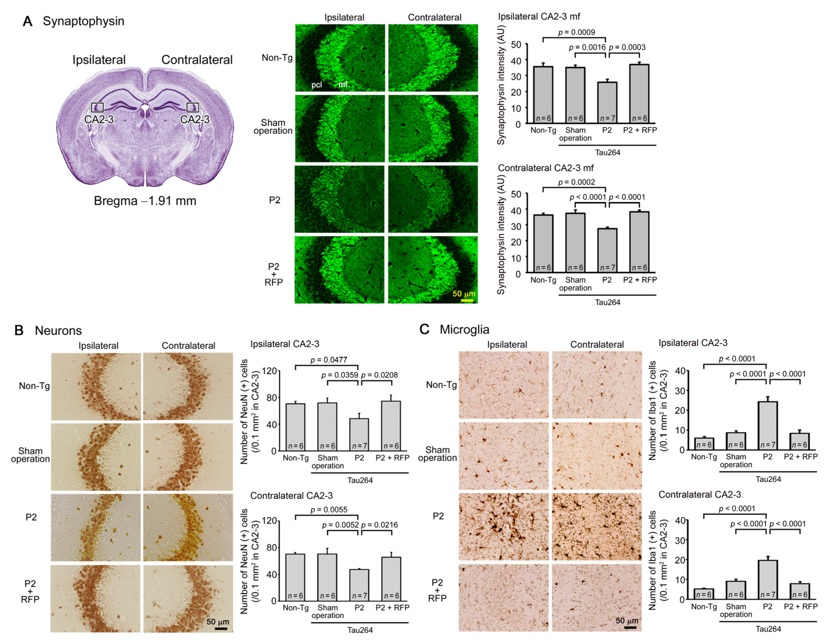 Biomedicines 10 00297 g004