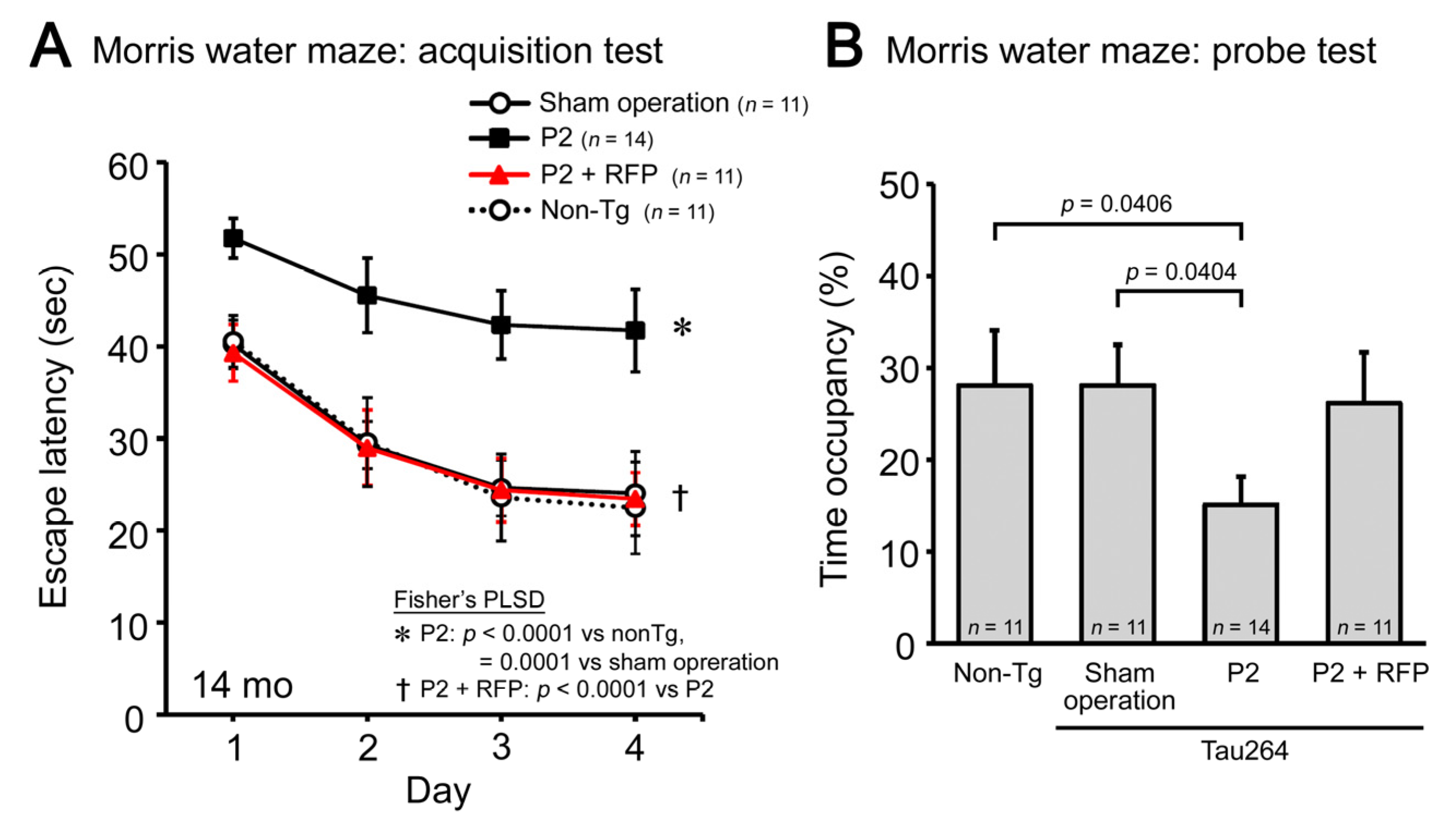 Biomedicines 10 00297 g005