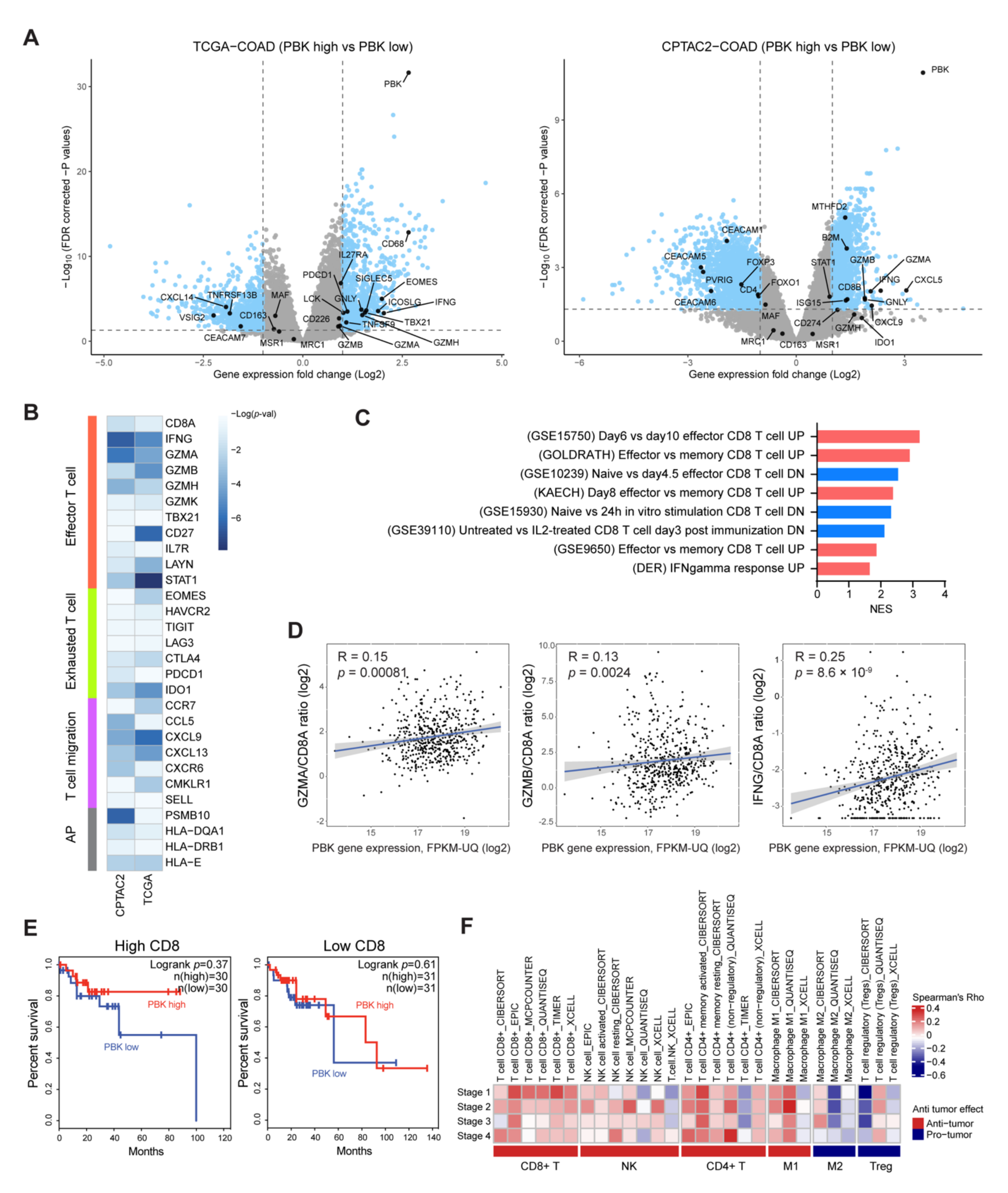 Biomedicines 10 00299 g003