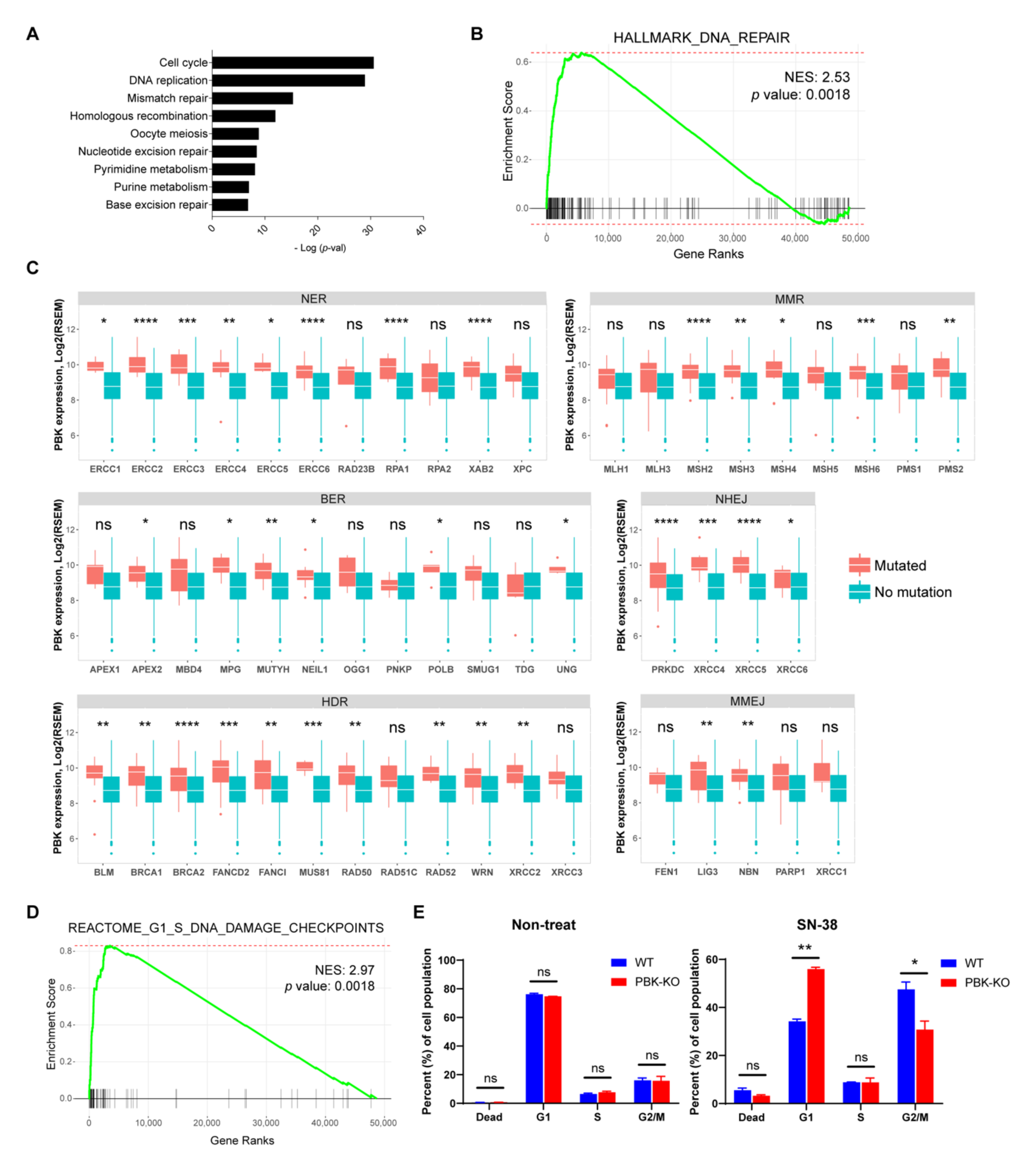 Biomedicines 10 00299 g005