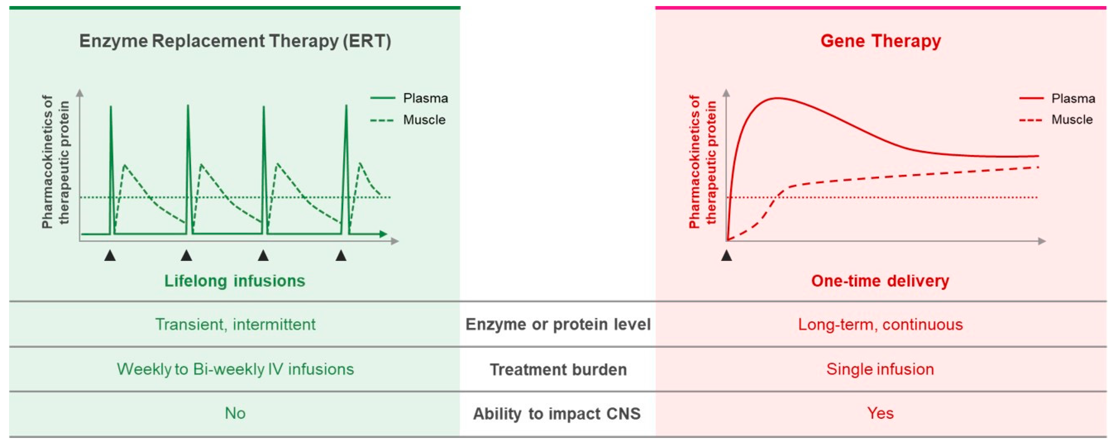 Biomedicines 10 00302 g001