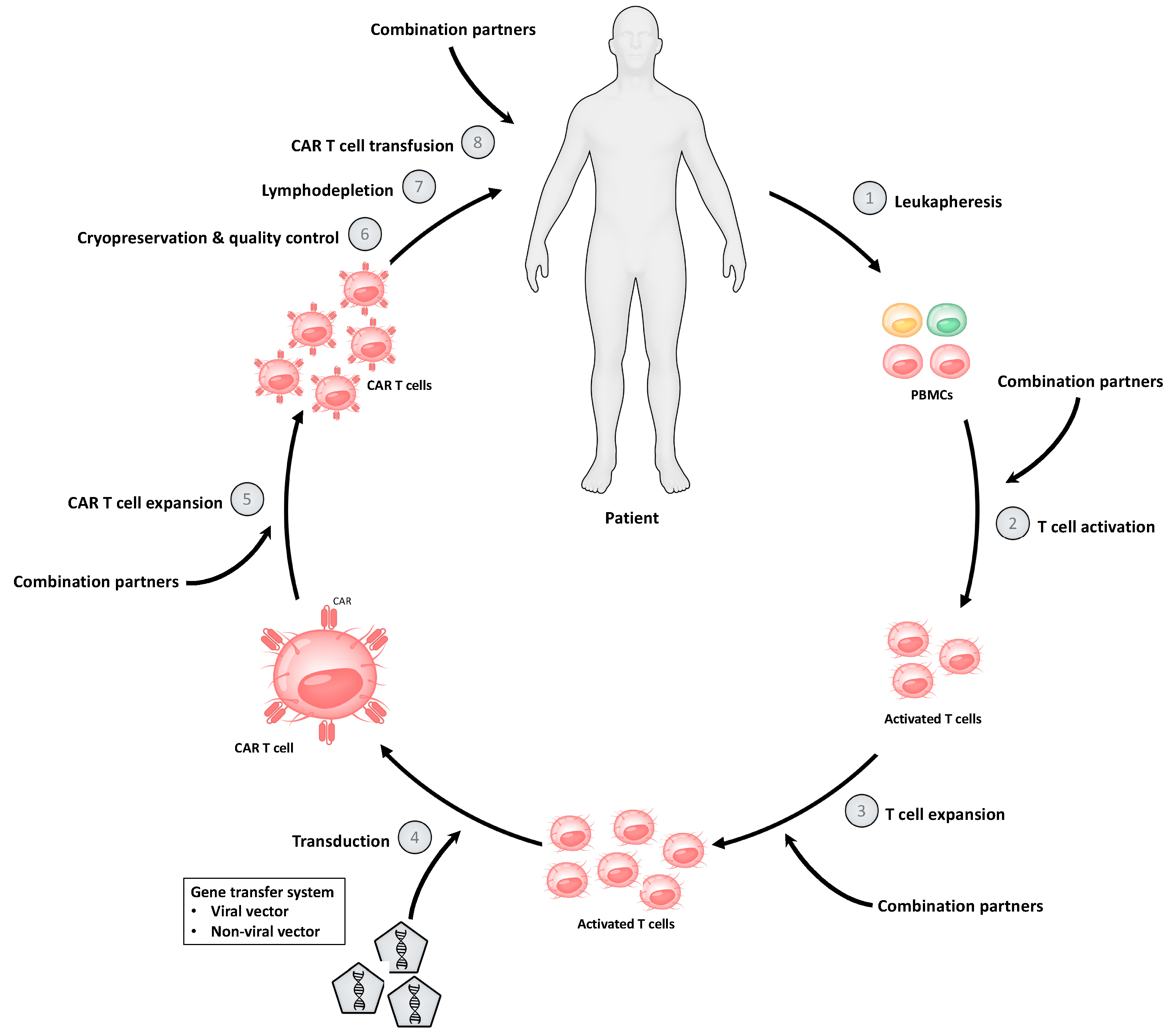 Biomedicines 10 00307 g001
