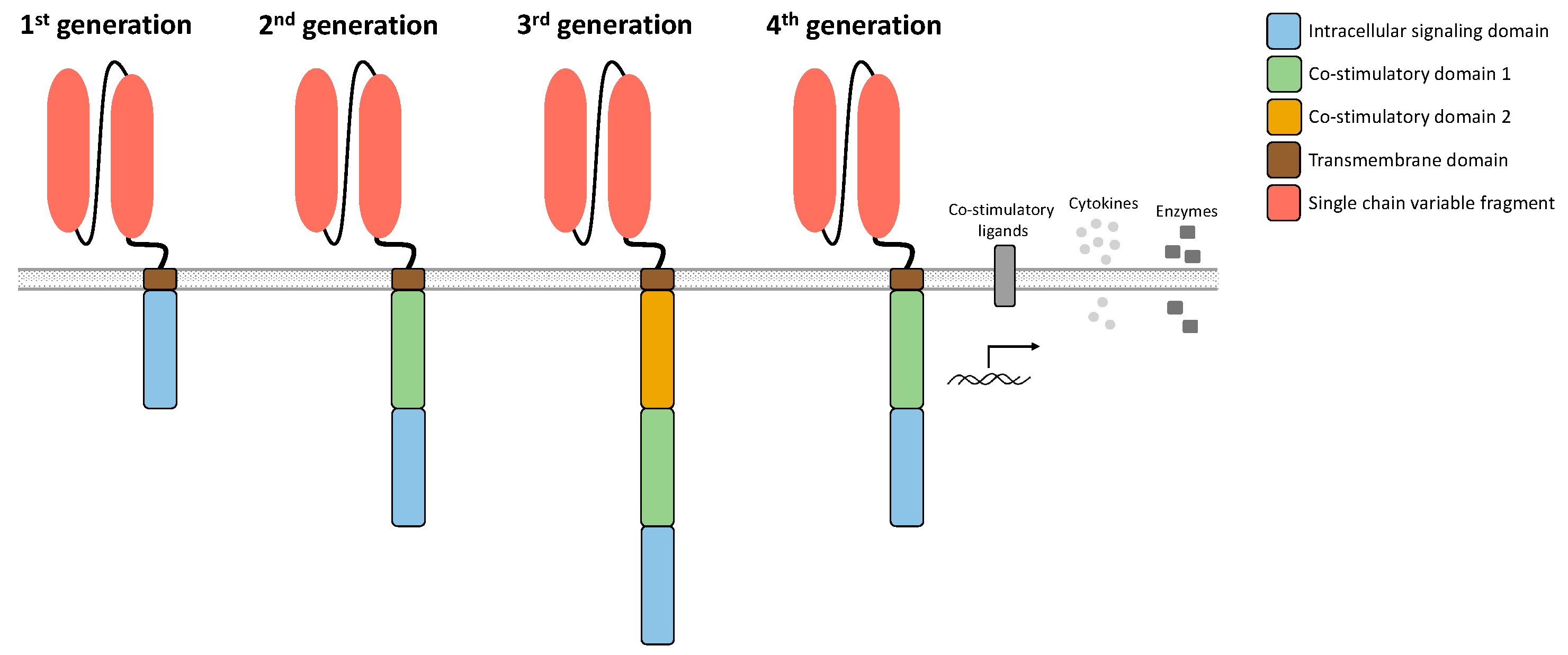 Biomedicines 10 00307 g002