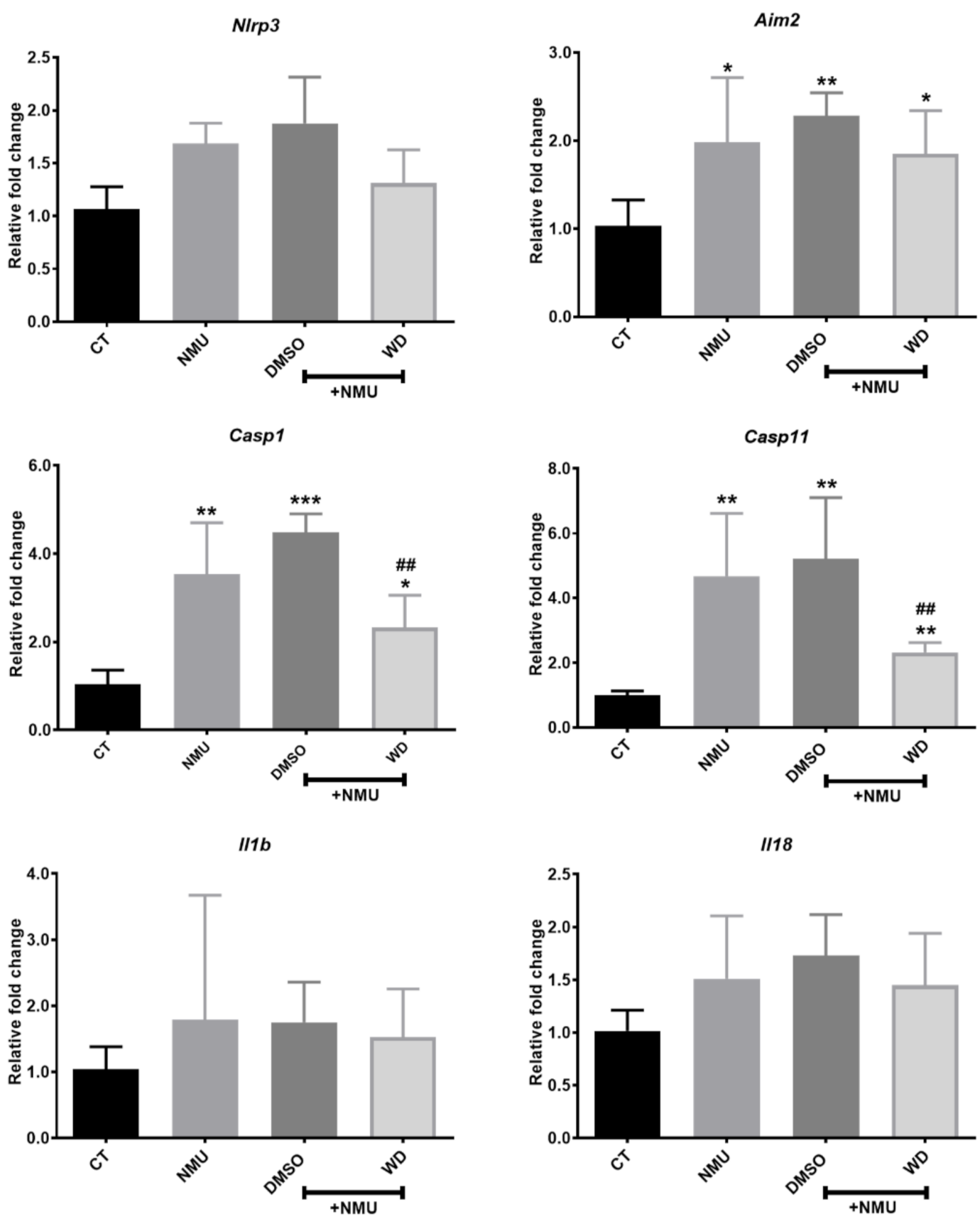 Biomedicines 10 00311 g002 Biomedicines 10 00311 g002