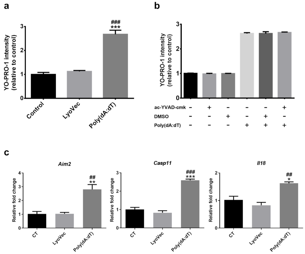 Biomedicines 10 00311 g003 Biomedicines 10 00311 g003
