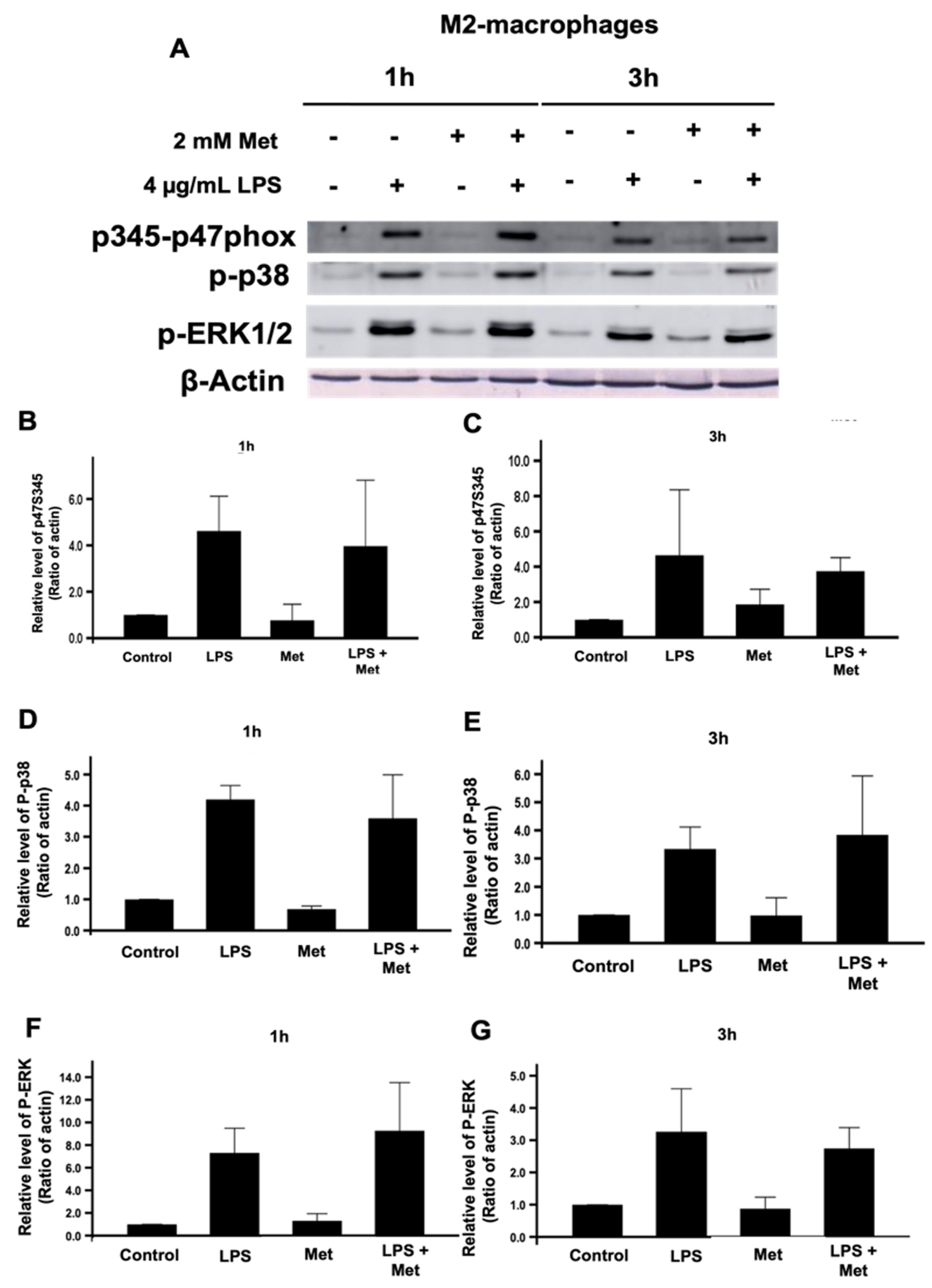 Biomedicines 10 00319 g005