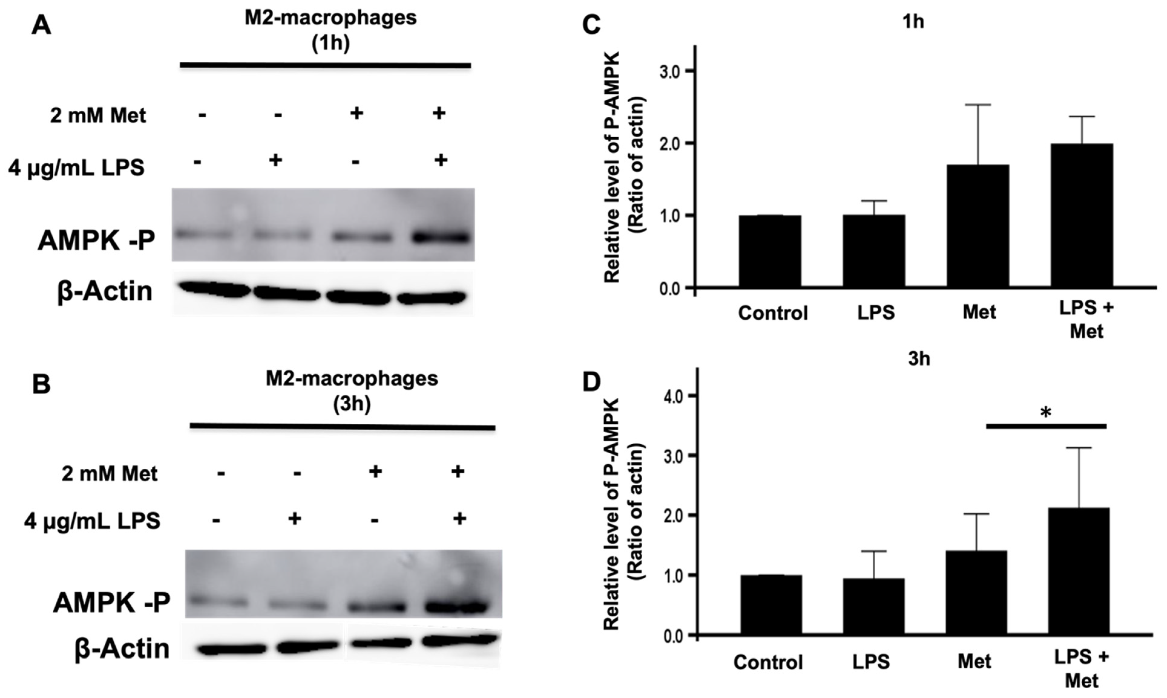 Biomedicines 10 00319 g006