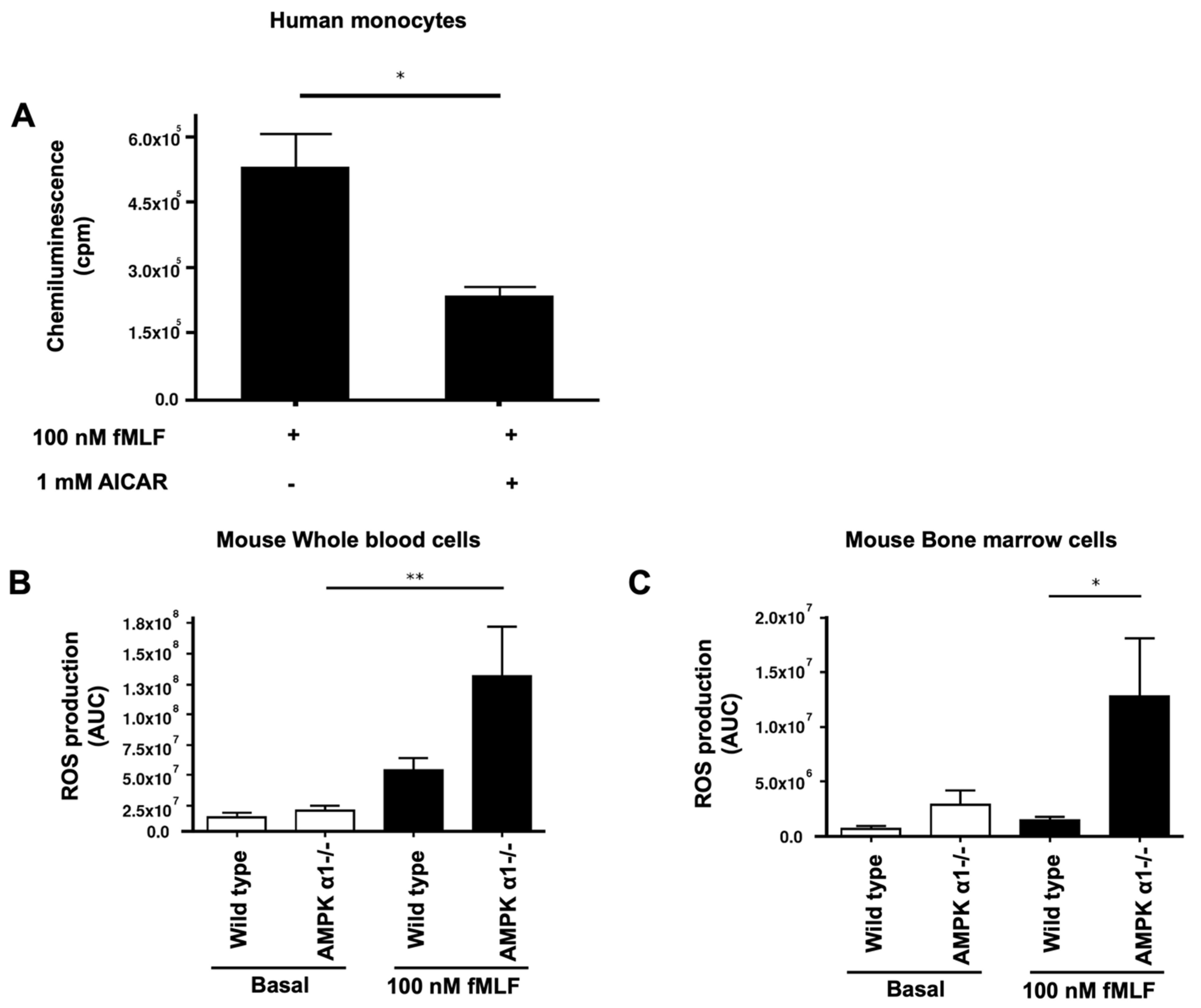 Biomedicines 10 00319 g007