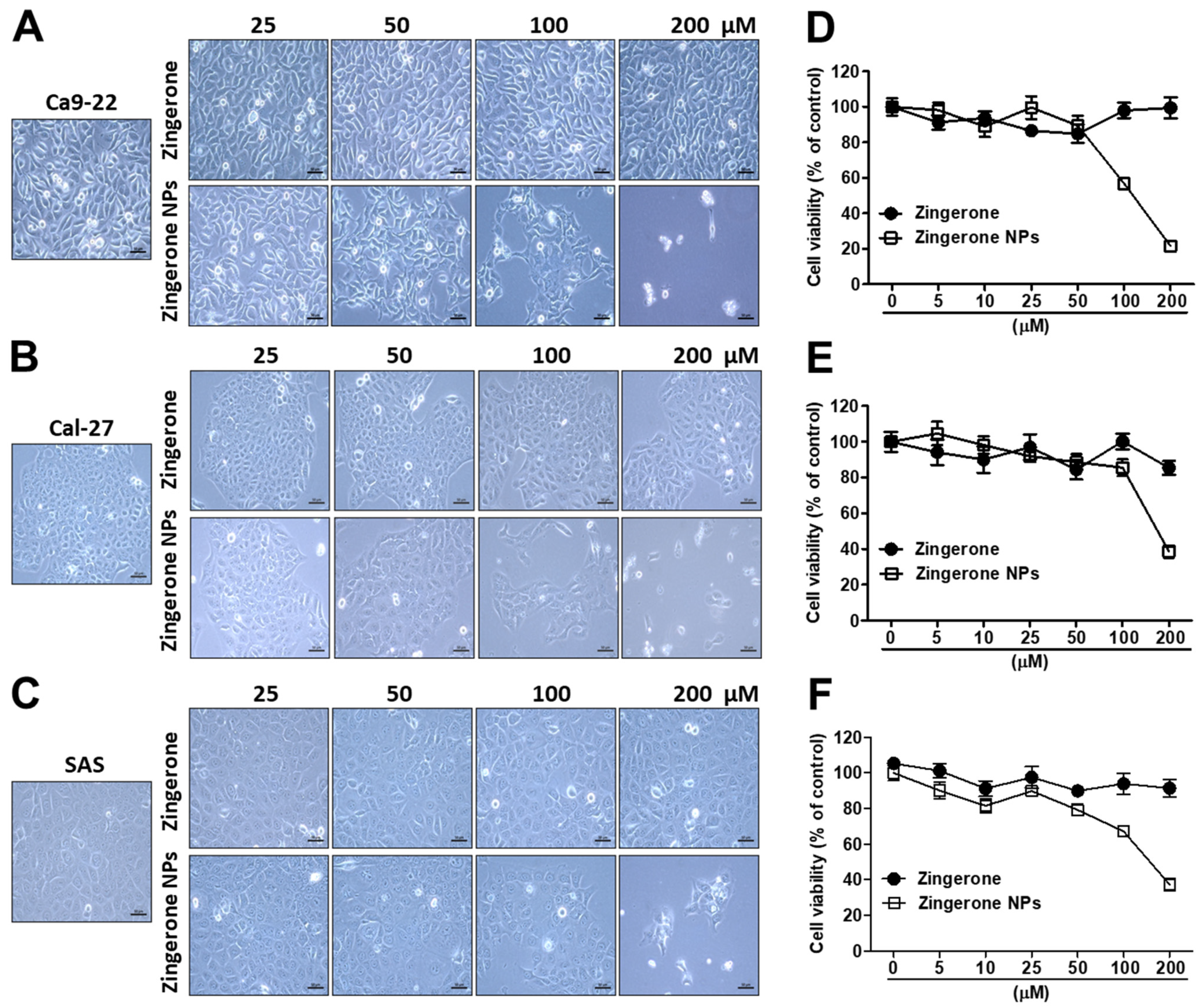 Biomedicines 10 00320 g001