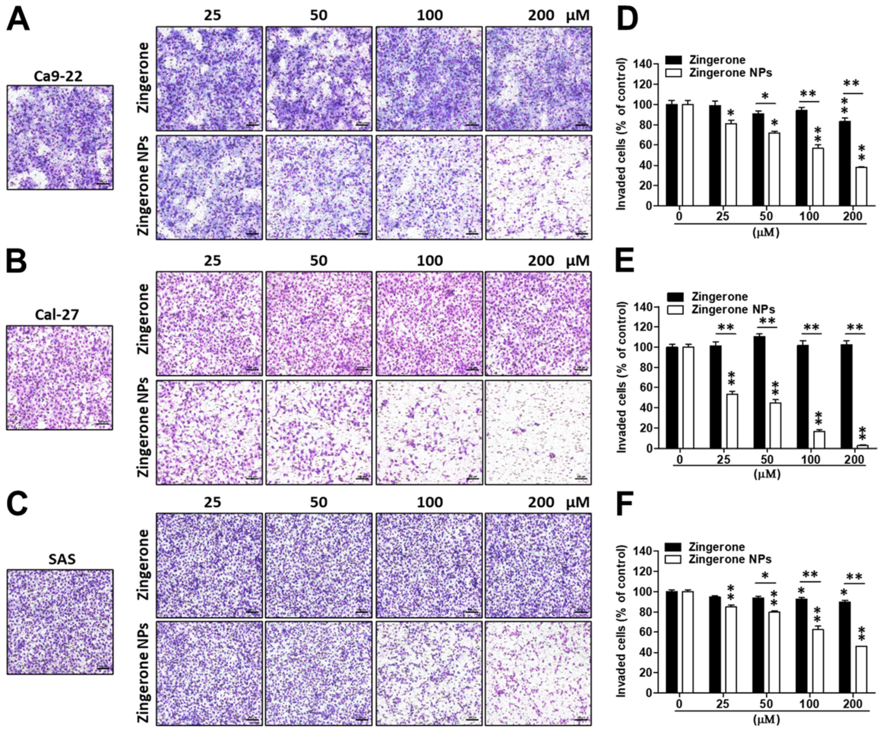 Biomedicines 10 00320 g004