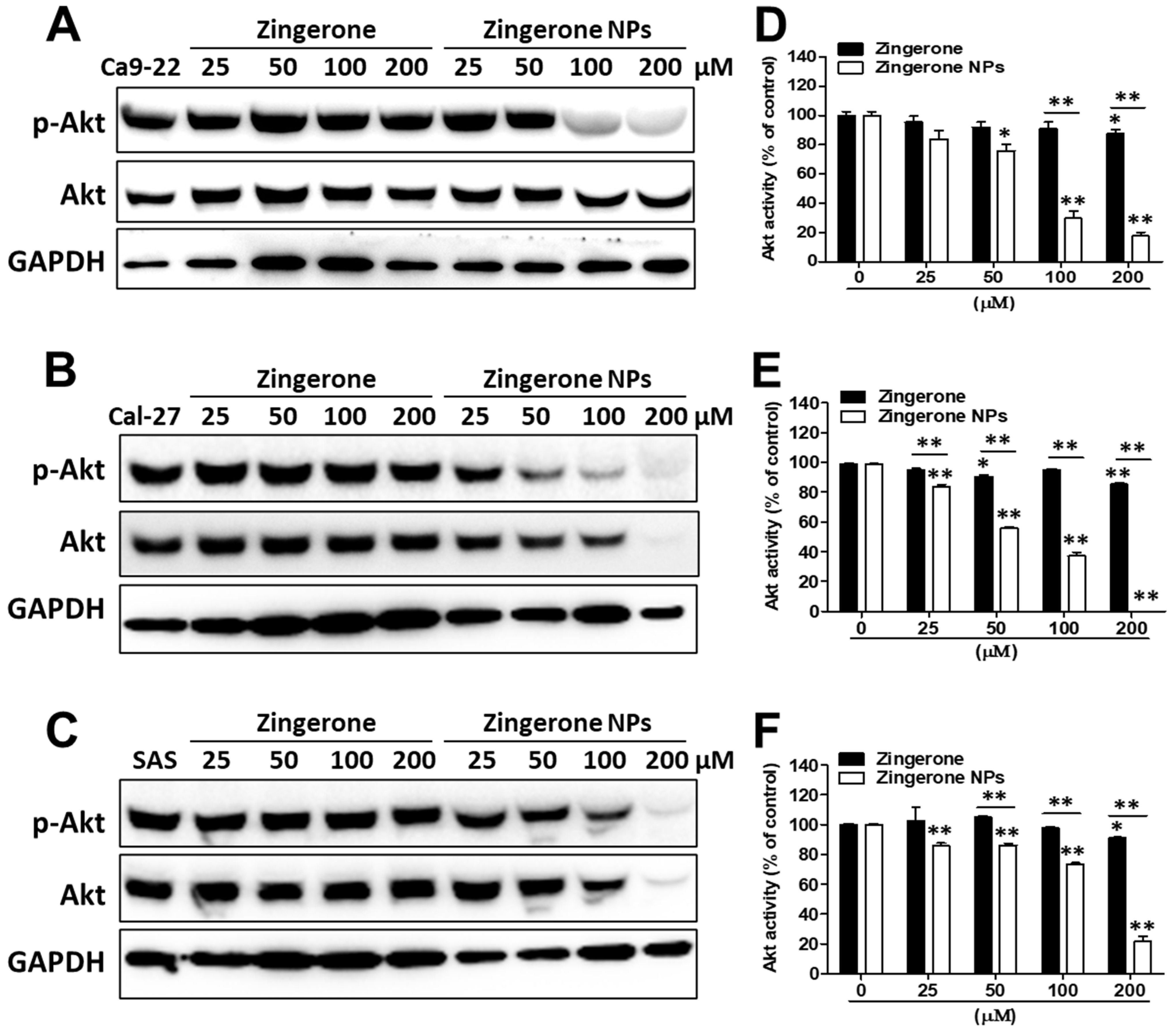 Biomedicines 10 00320 g005