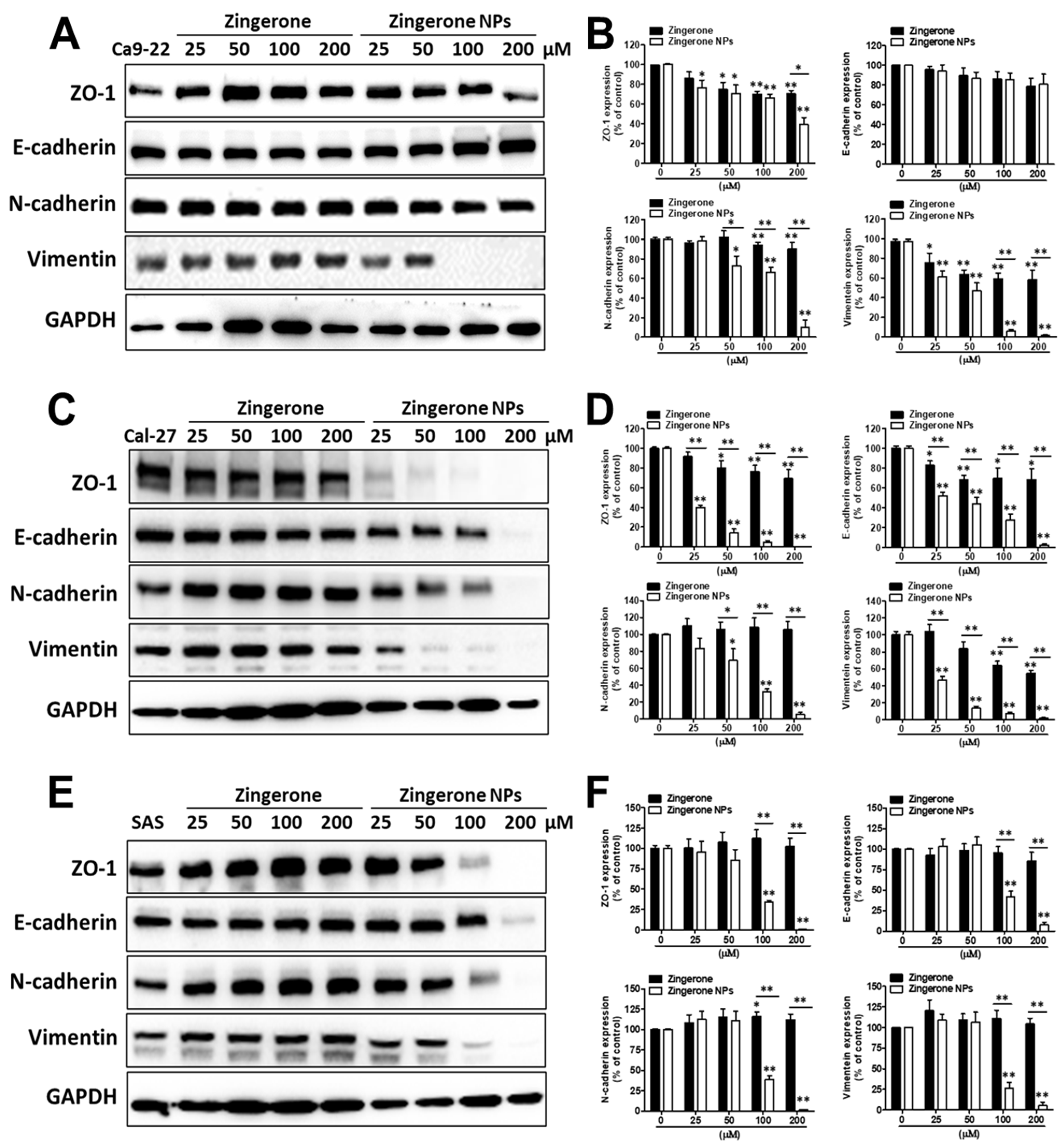 Biomedicines 10 00320 g007