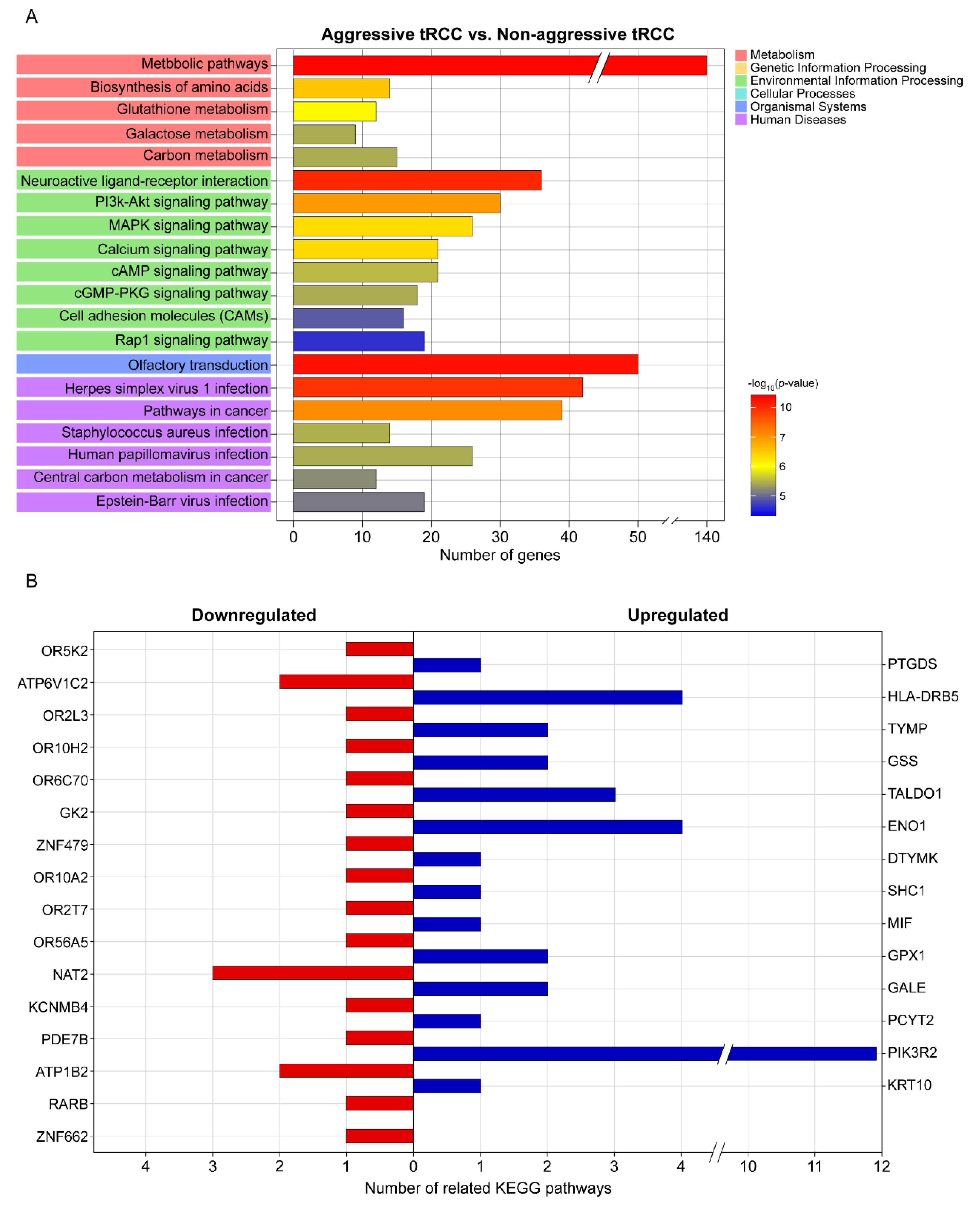 Biomedicines 10 00321 g002
